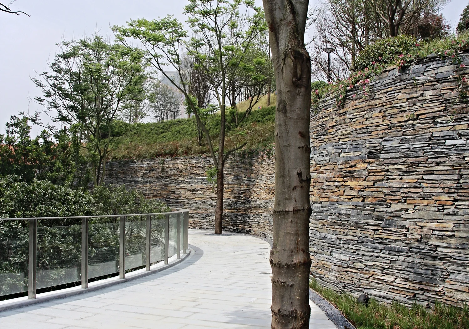 CamphorGarden8.jpg