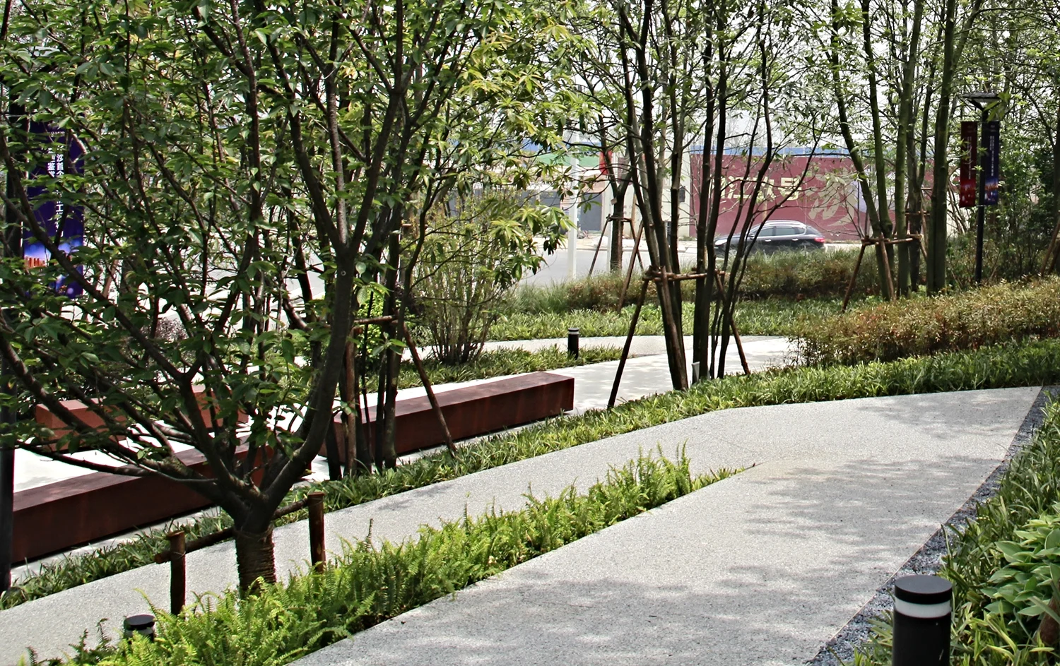 CamphorGarden10.jpg
