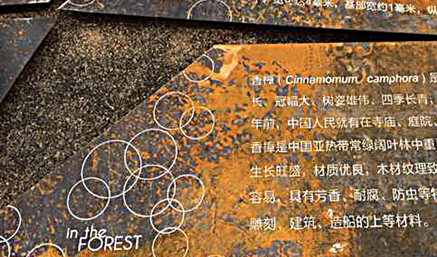 intheFOREST18.jpg