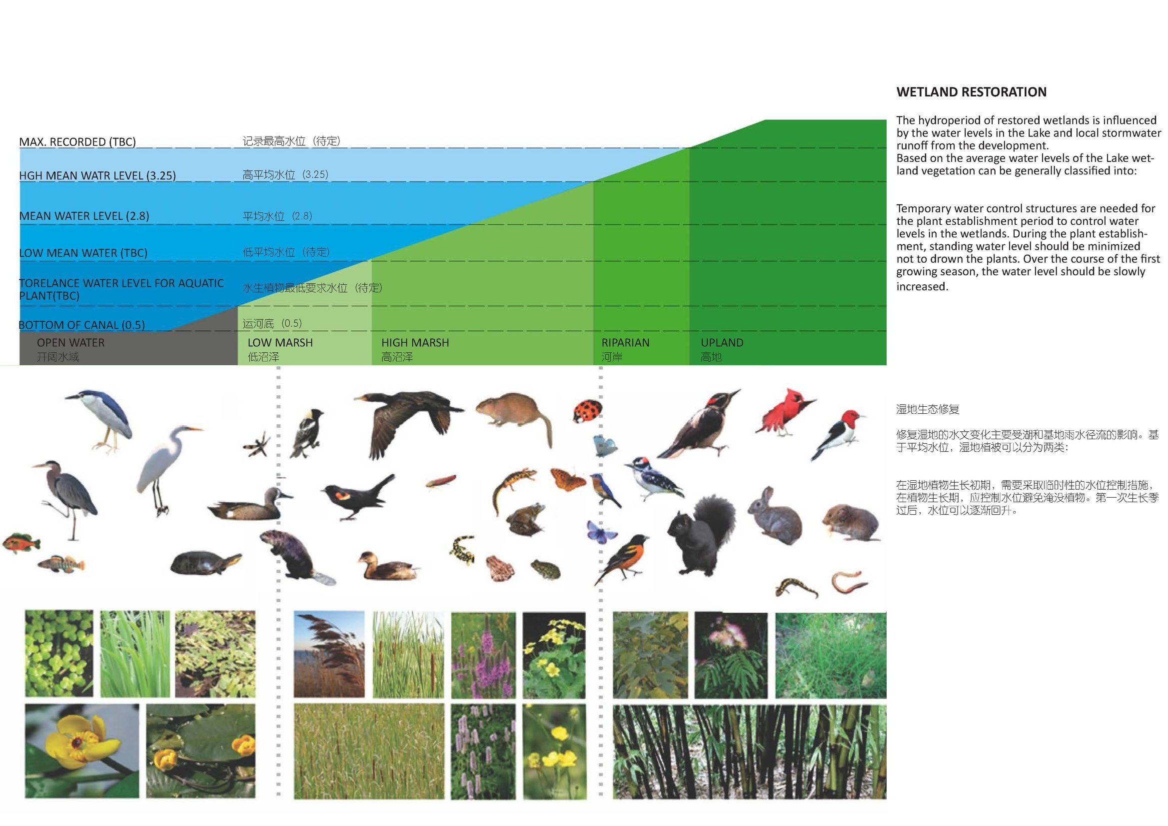 Pages from 20160630-TangzhenPark_Comp_FINAL_Presentation_Page_06.jpg