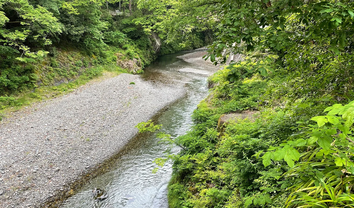 Res_Sakamoto01.jpg