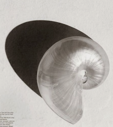 Screen Shot 2023-07-06 at 4.44.17 PM.png