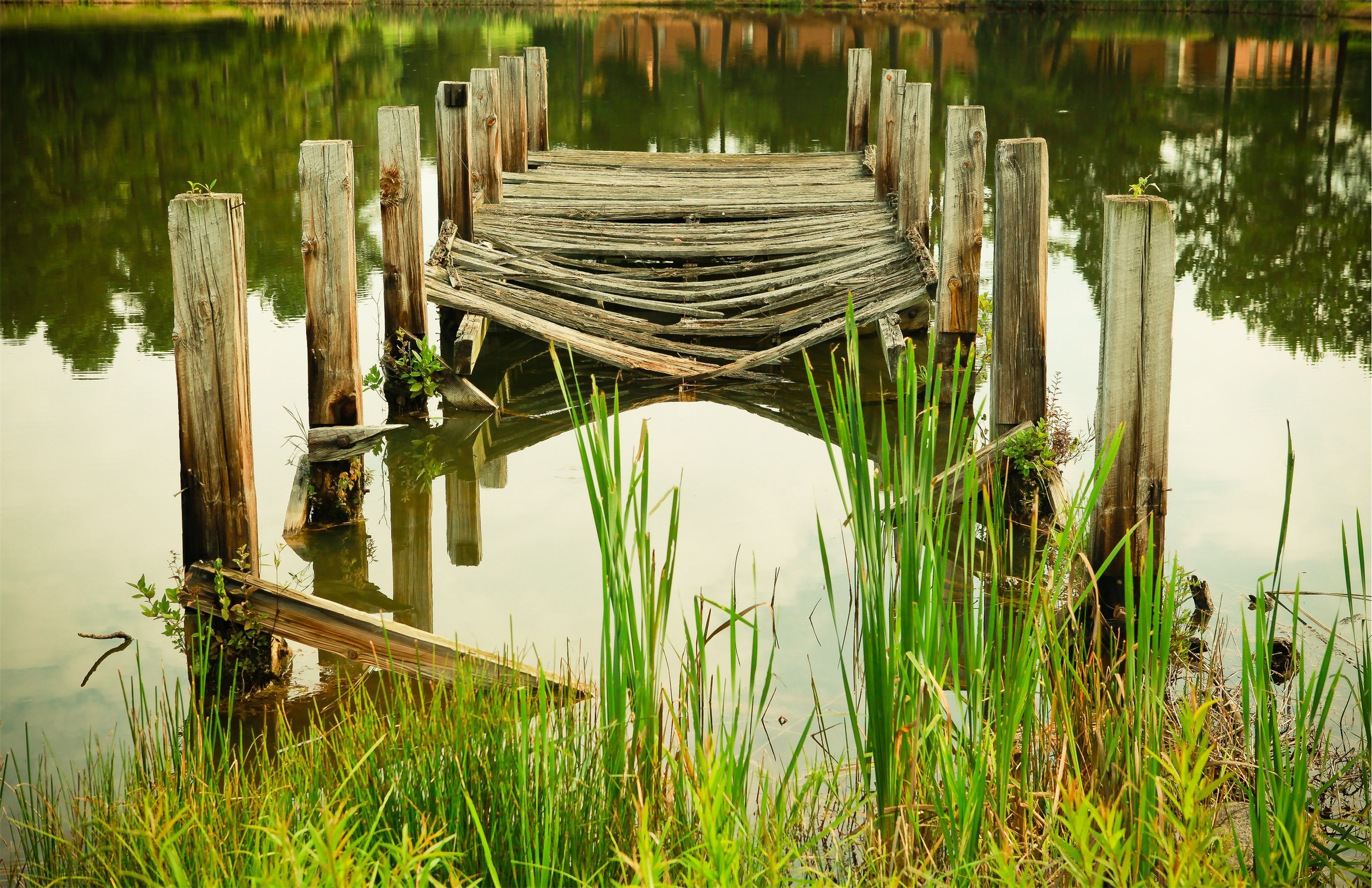 "In the moment of crisis, the wise build bridges and the foolish build dams"