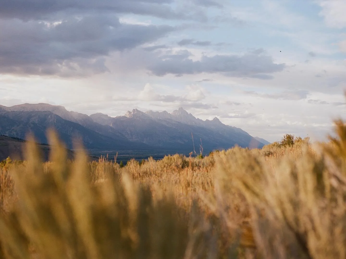 If I could live anywhere in the world it would be here. 
.
Pentax 645
Lomo800
Scanned @thefindlab 
.
.
.
.
#filmohotography #filmisnotdead #longlivefilm #jacksonholephotographer #jacksonholeweddingphotographer #jacksonholewedding #tetonelopmentphotog