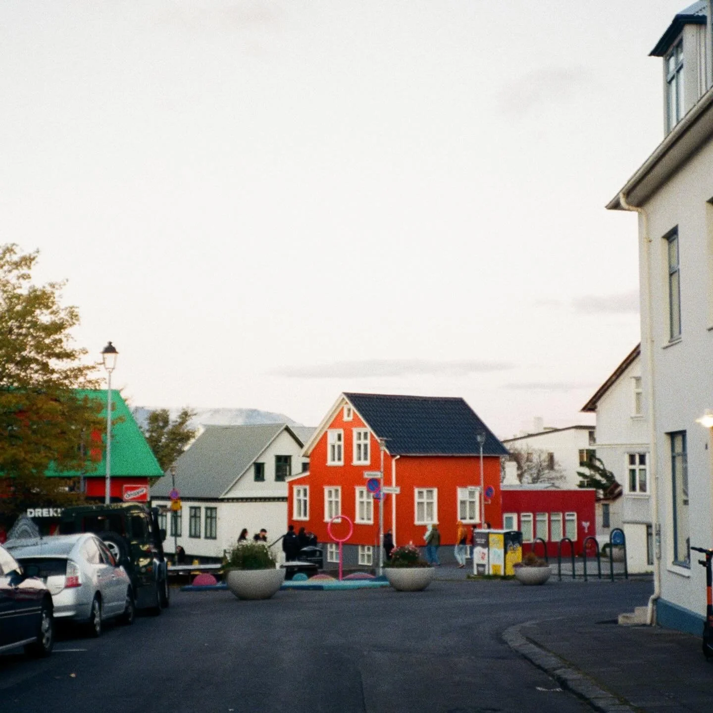 Merry Christmas Eve 🌲
.
.
#lomo800 
@thefindlab 
.
.
#filmisnotdead #icelandphotography