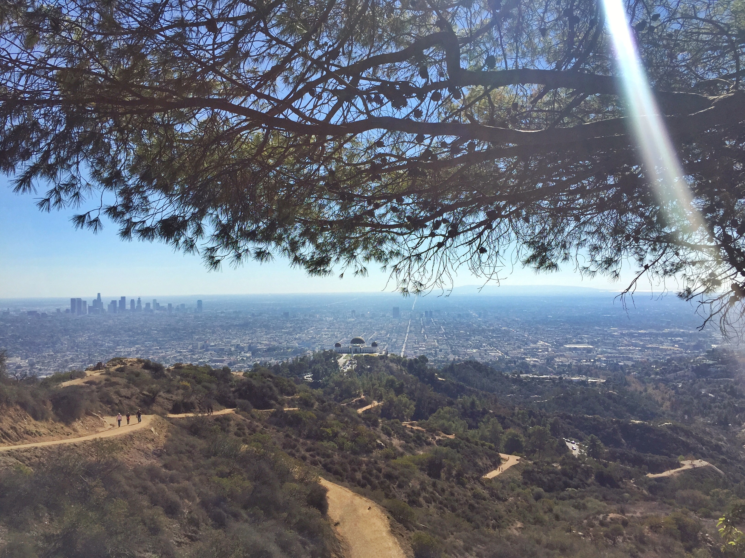 hiking-tours-los-angeles-griffith-park-22