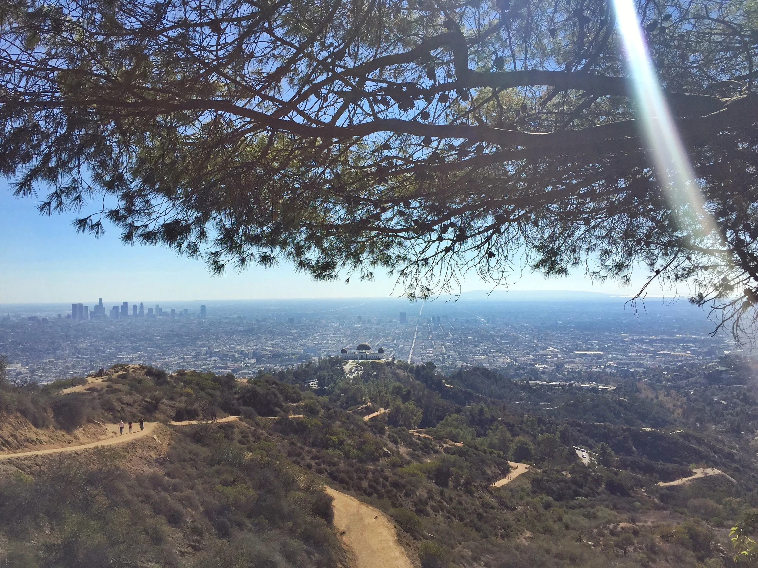 hiking-tours-los-angeles-griffith-park-22