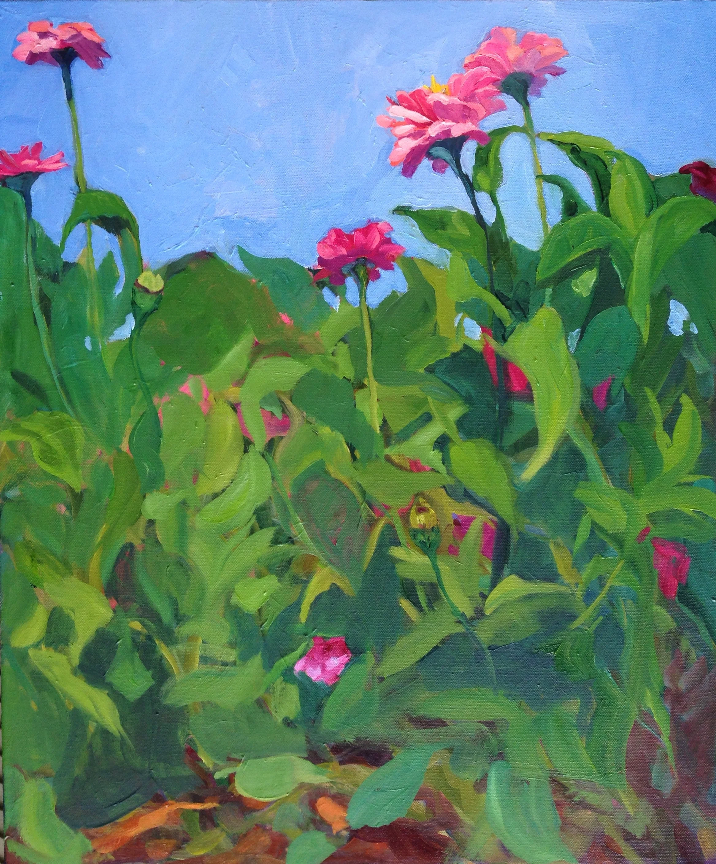 Zinnia garden