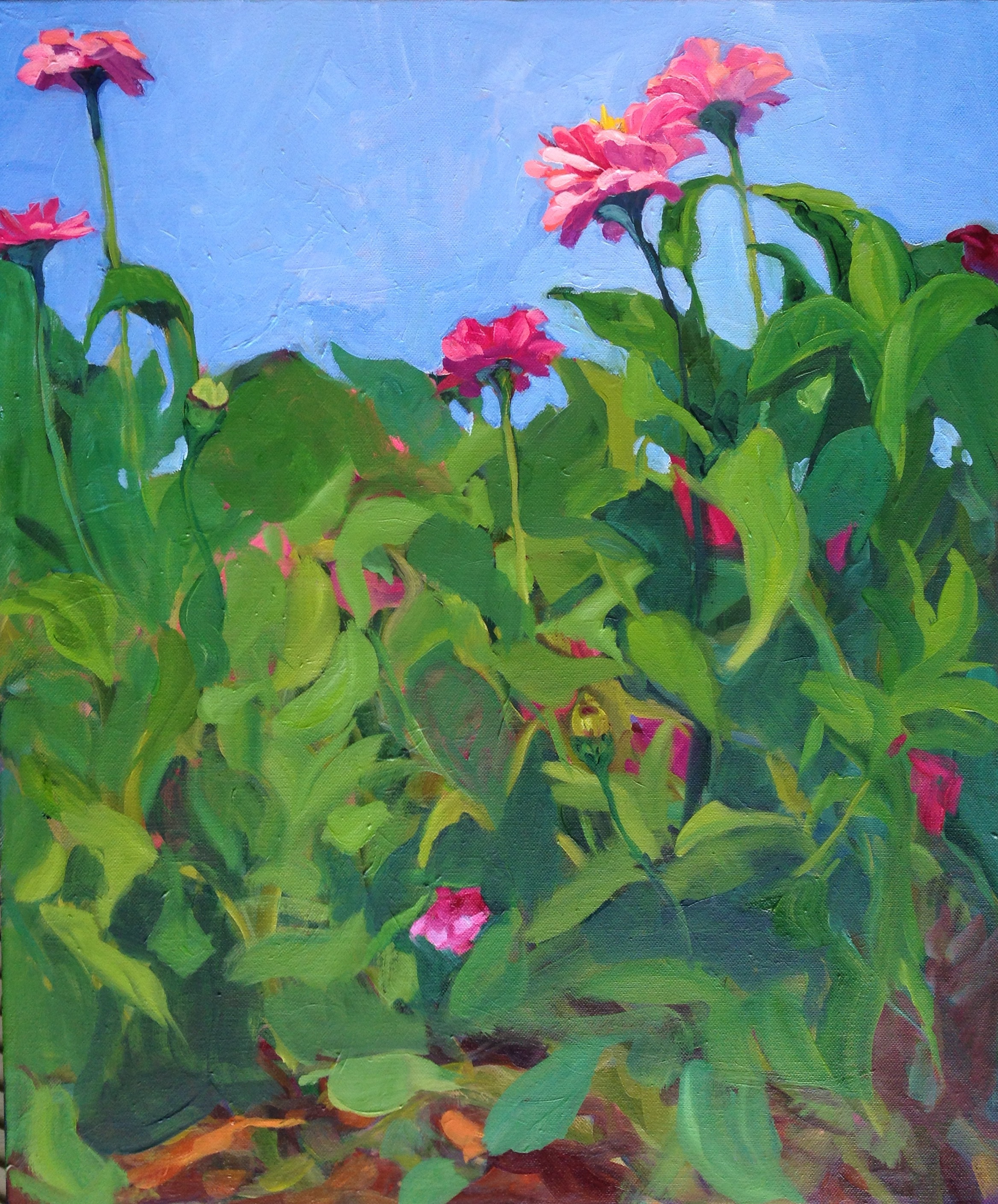 Zinnia Garden