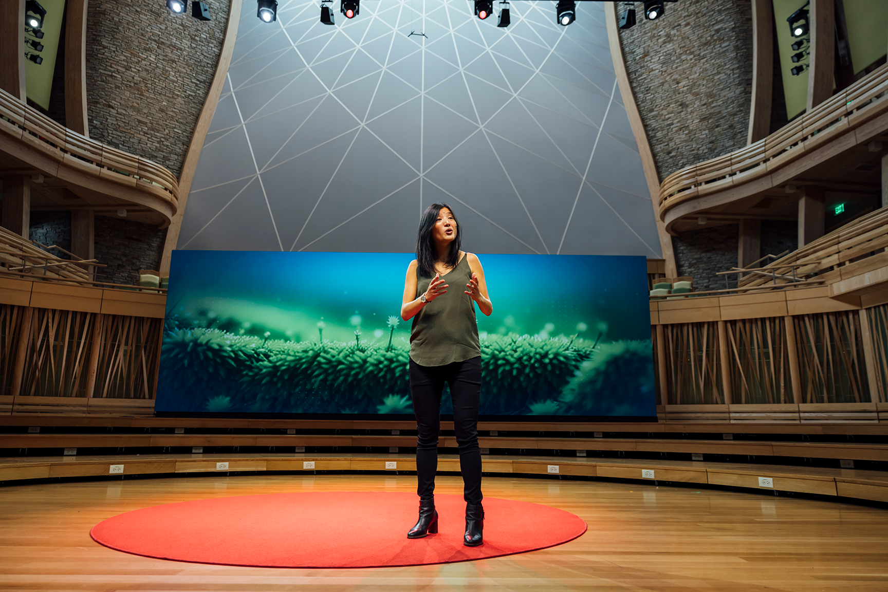 54100291365_e551ef9f2b_o web.png