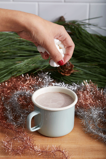 Blue Apron - Holiday 2018