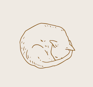 Cat 2.png