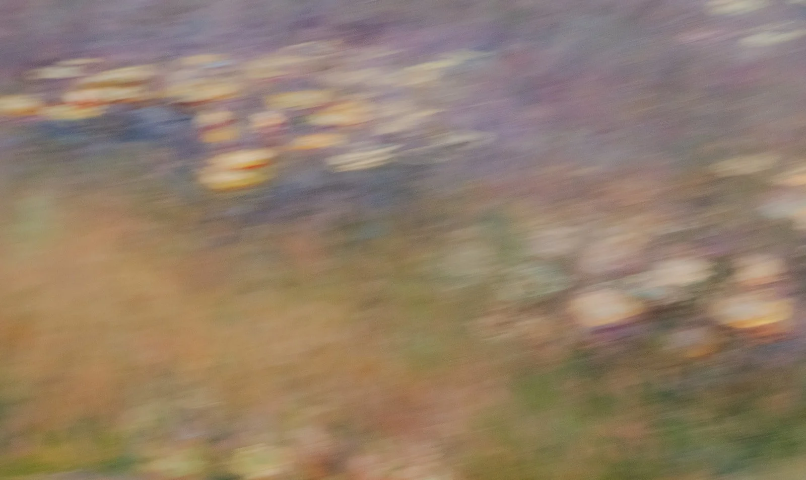 A&M Newlyweds - The Marions-53_websize.jpg