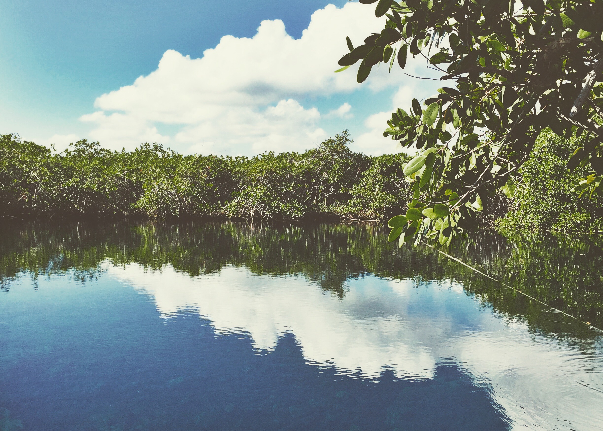Healing waters of the Cenotes