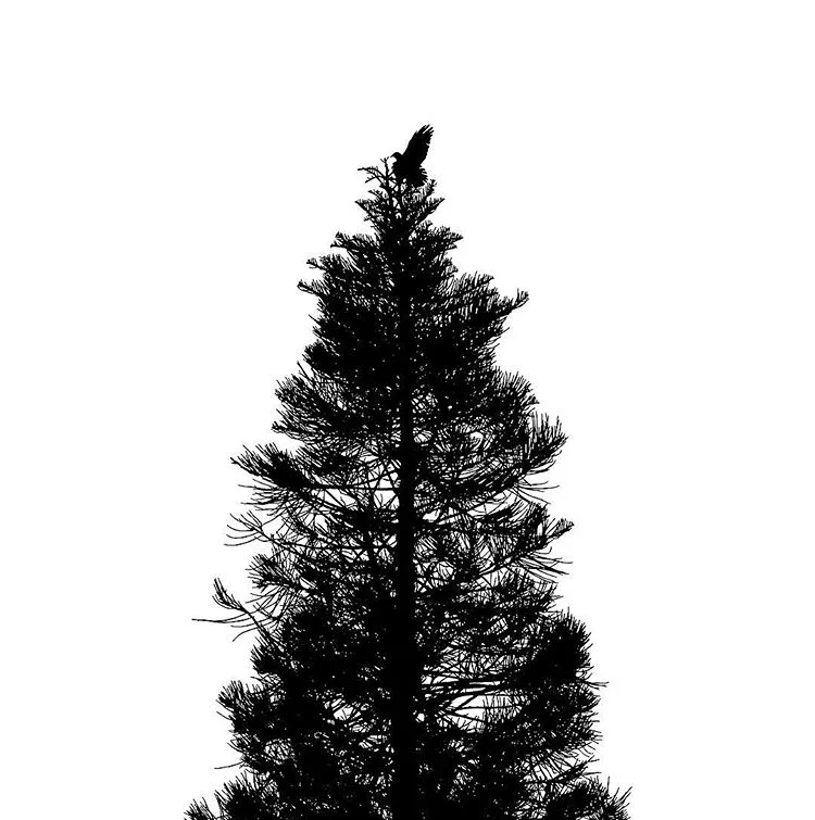 16124237_1624855260863703_4637118521241763840_n.jpg