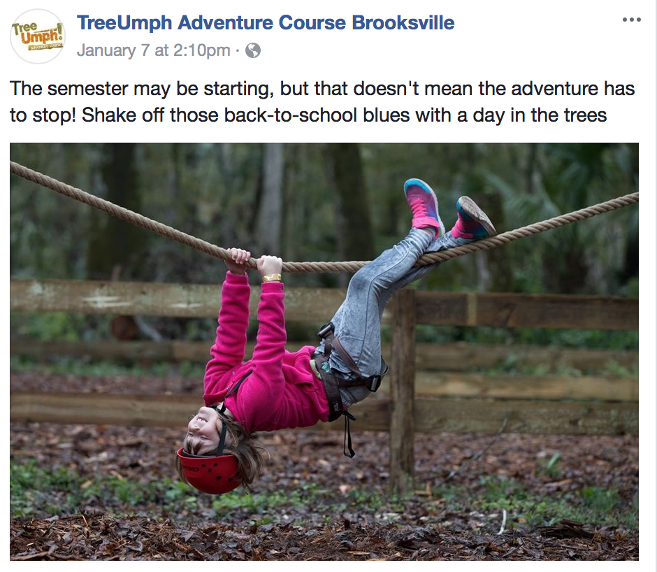 Screen Shot 2018-01-09 at 2.31.53 PM.png