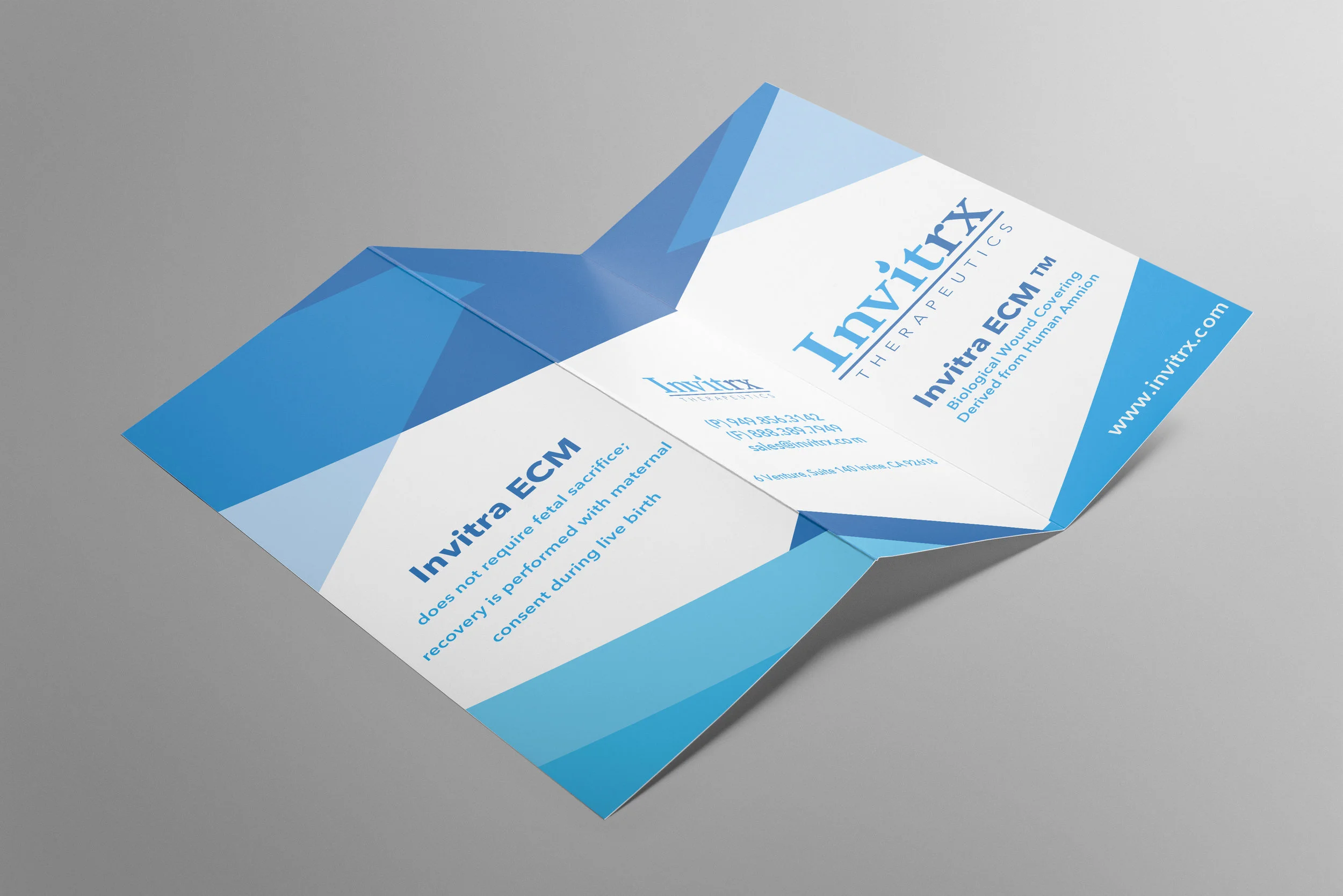 OUTER TRIFOLD FLAT.jpg