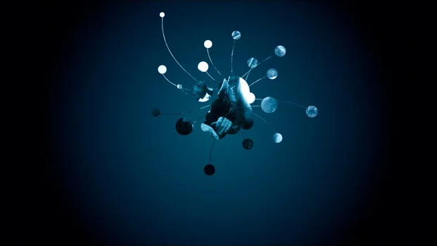 shapeimage_13_o.jpg