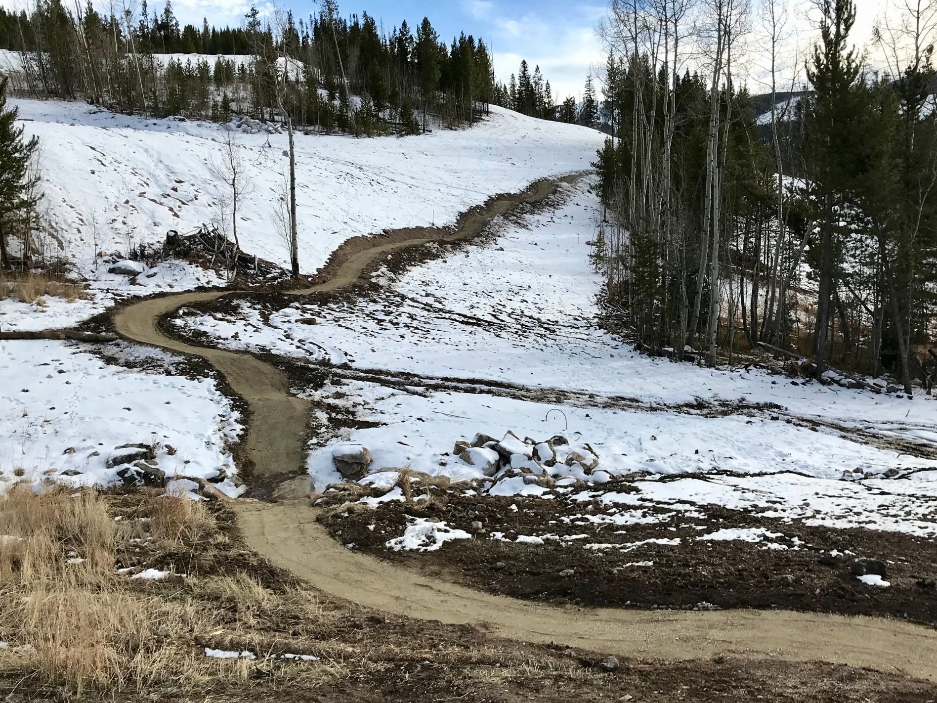 Screen Shot 2025-01-31 at 12.15.59 PM.png