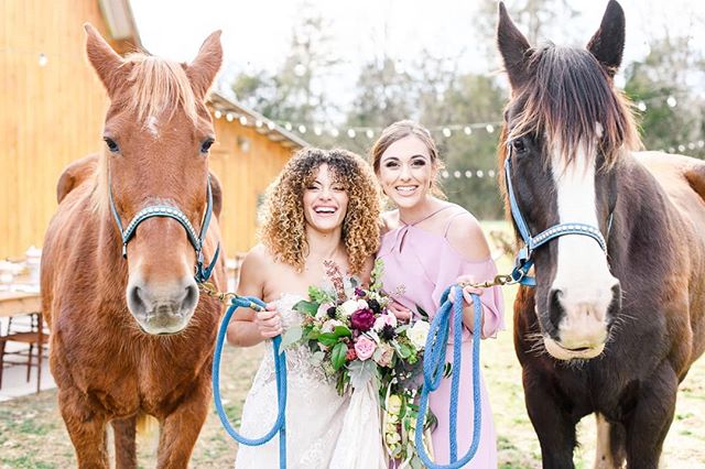 Every great color palette involves two shades of horse, right? 🐴😍🐴 #horseofhonor
.
.
.
.
.
Venue: @gracevalleyfarm // Planning &amp; Styling:  @weddingsandeventsbyraina // Floral Decor:  @barefootflowers // HMUA: @931beautyco // Bridal Attire: @wh