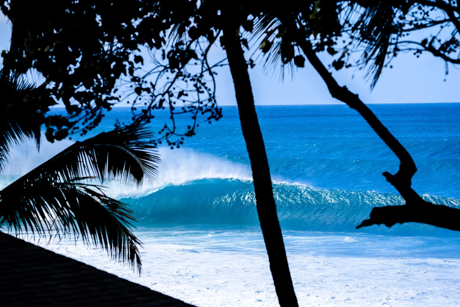 Empty_January 11, 2018_1922_DMosqueira.JPG