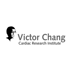 Victor Chang Logo.png