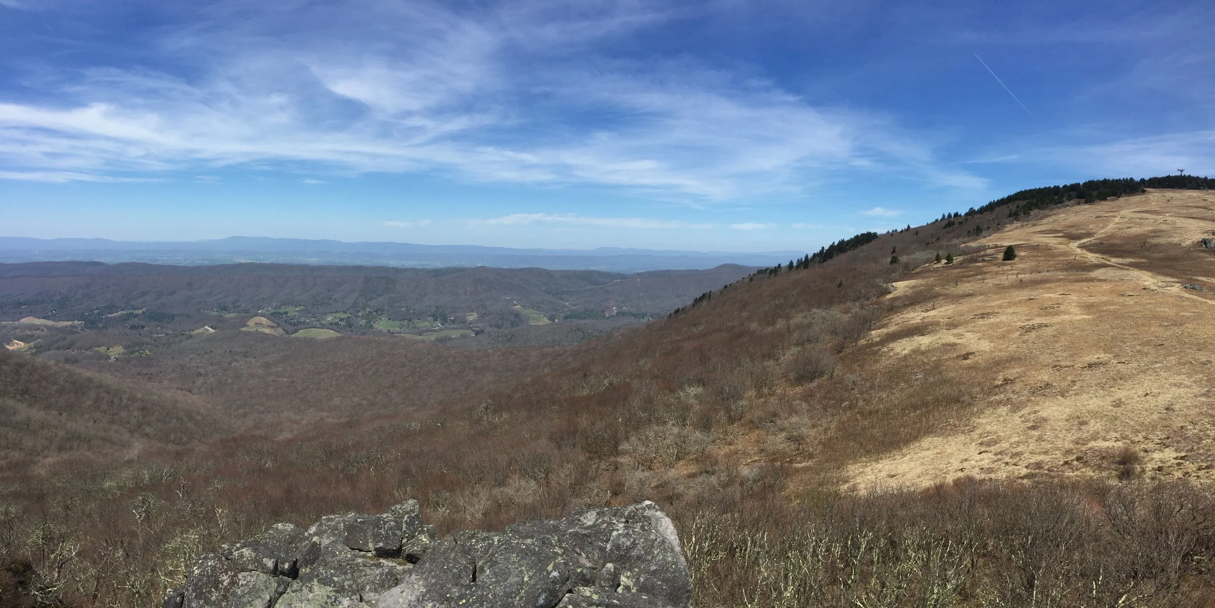 IMG_1534.jpeg