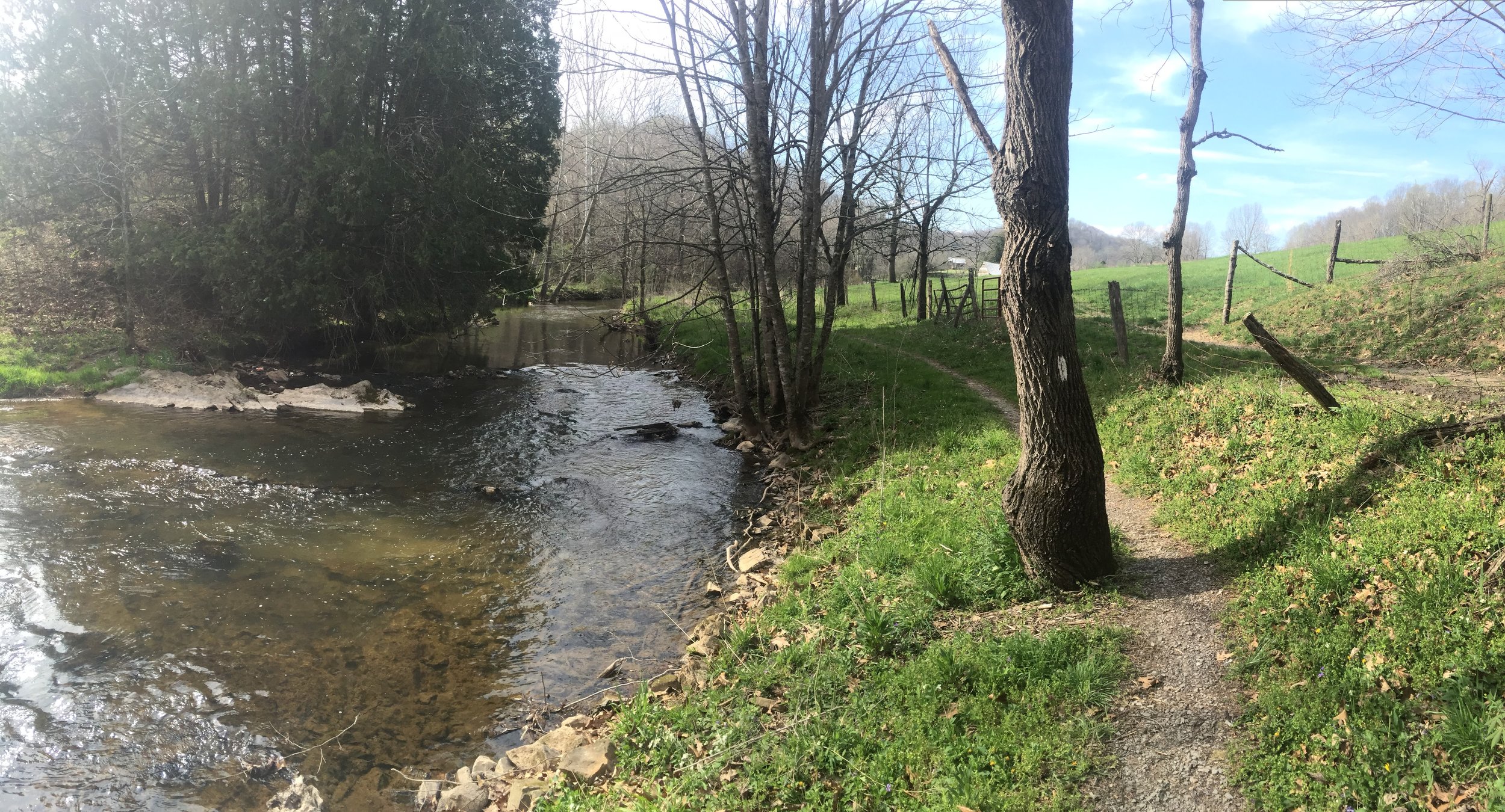 IMG_1602.jpeg