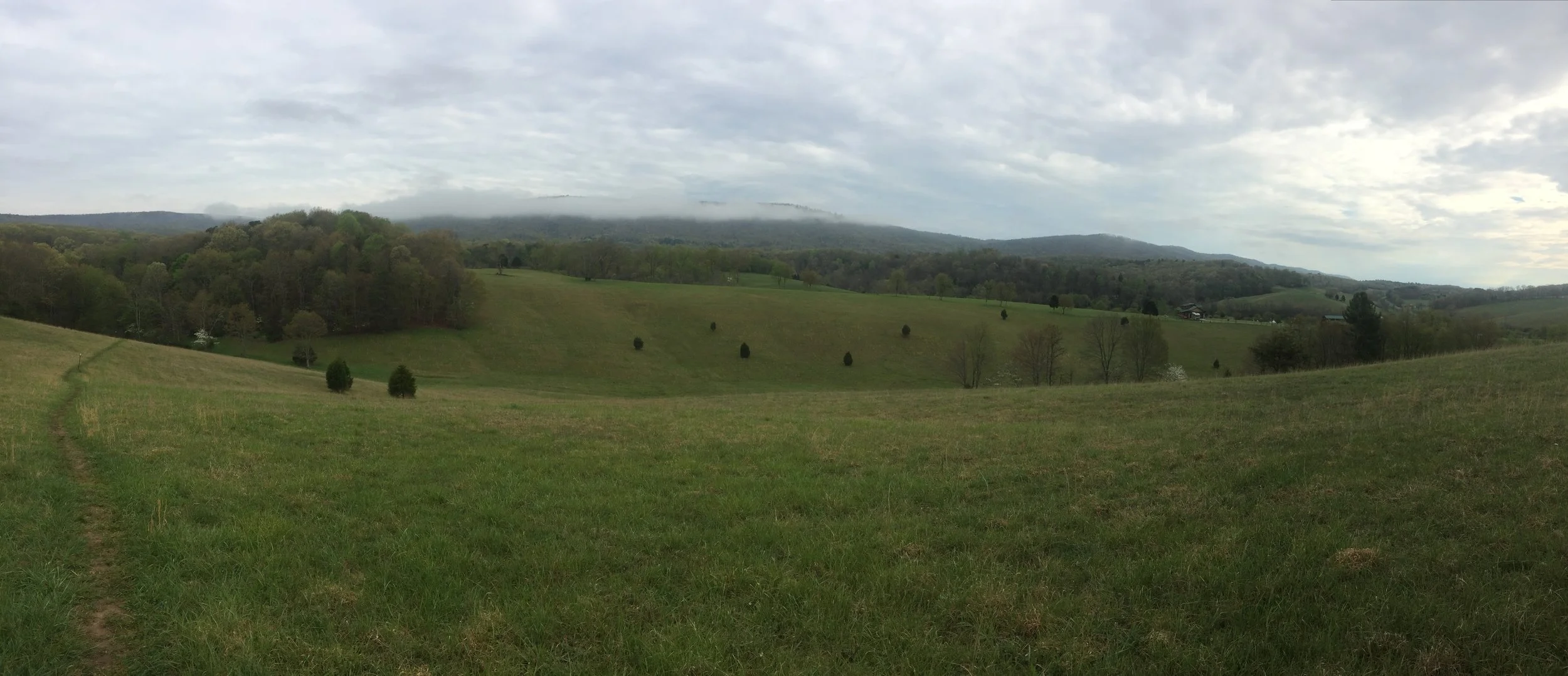 IMG_1657.jpeg