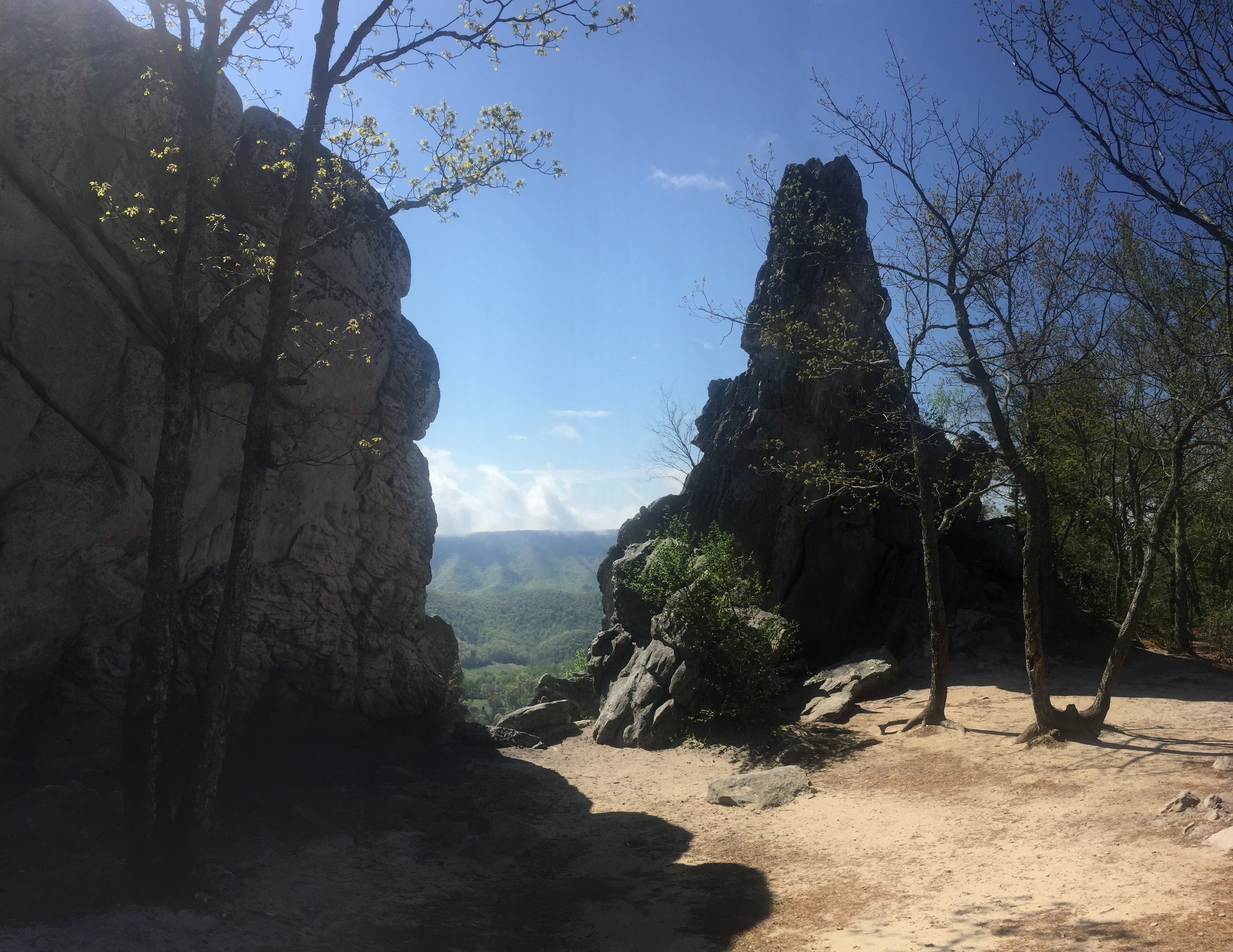 IMG_1675.jpeg