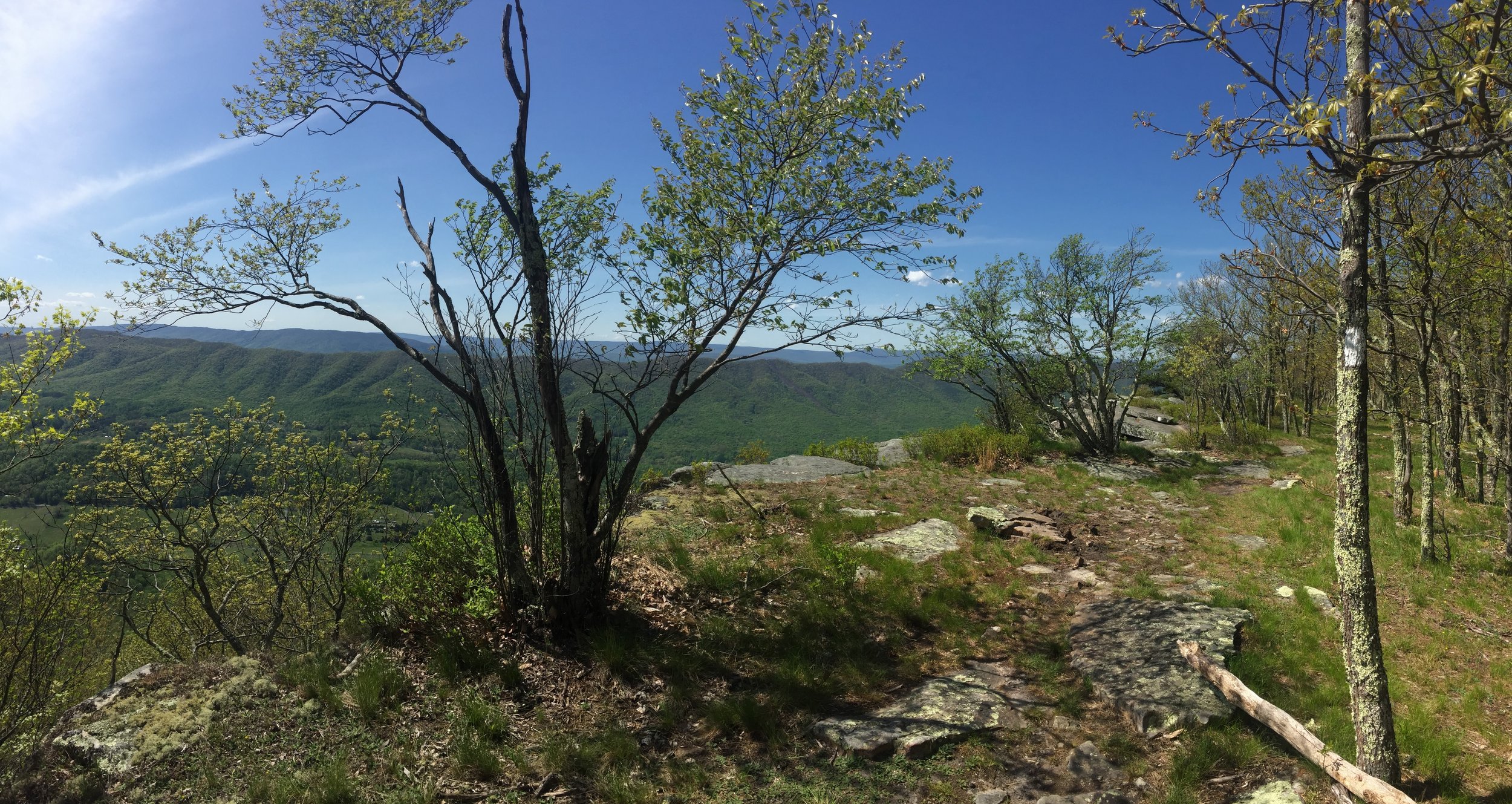 IMG_1714.jpeg