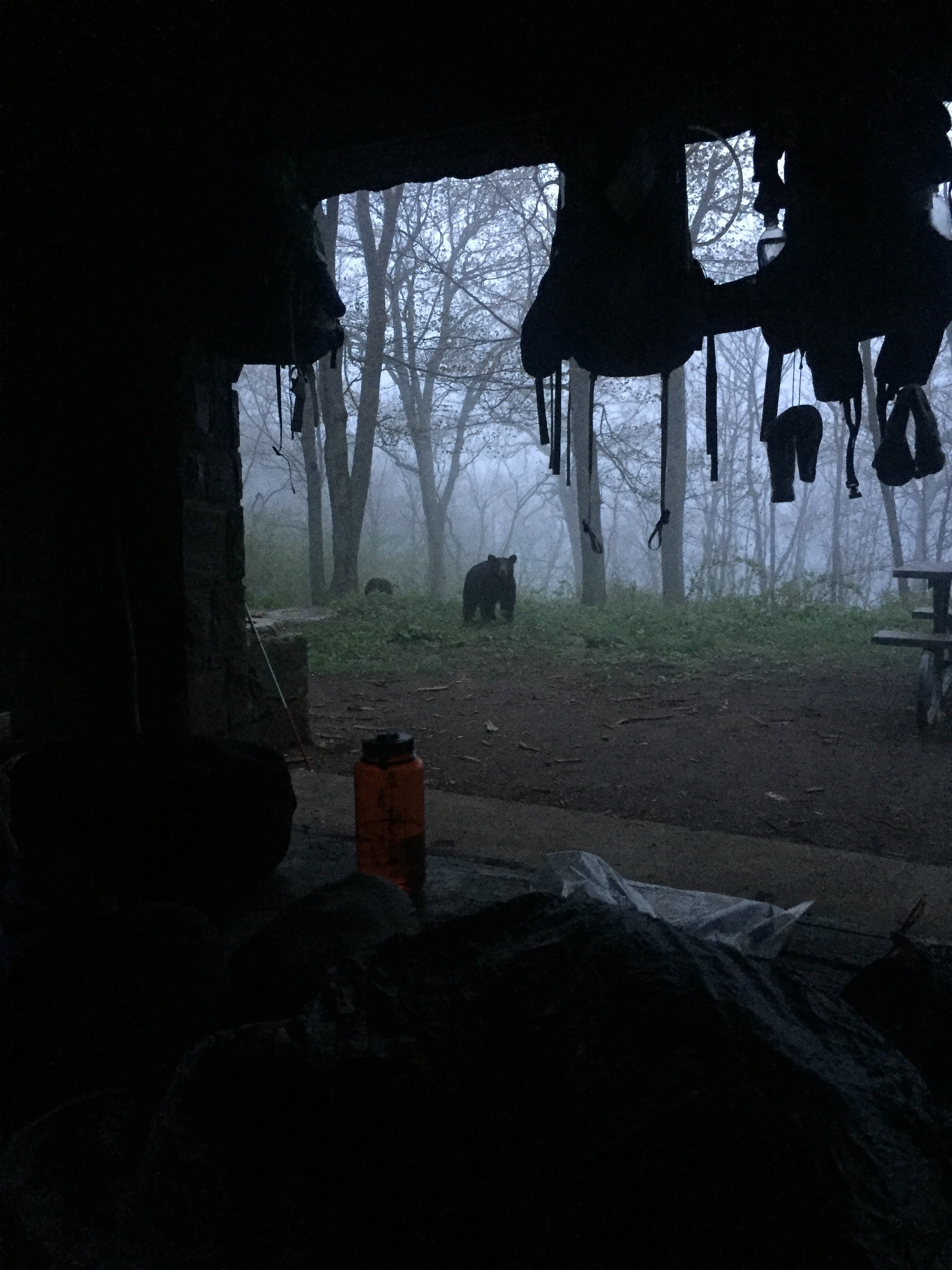 IMG_1860.jpeg