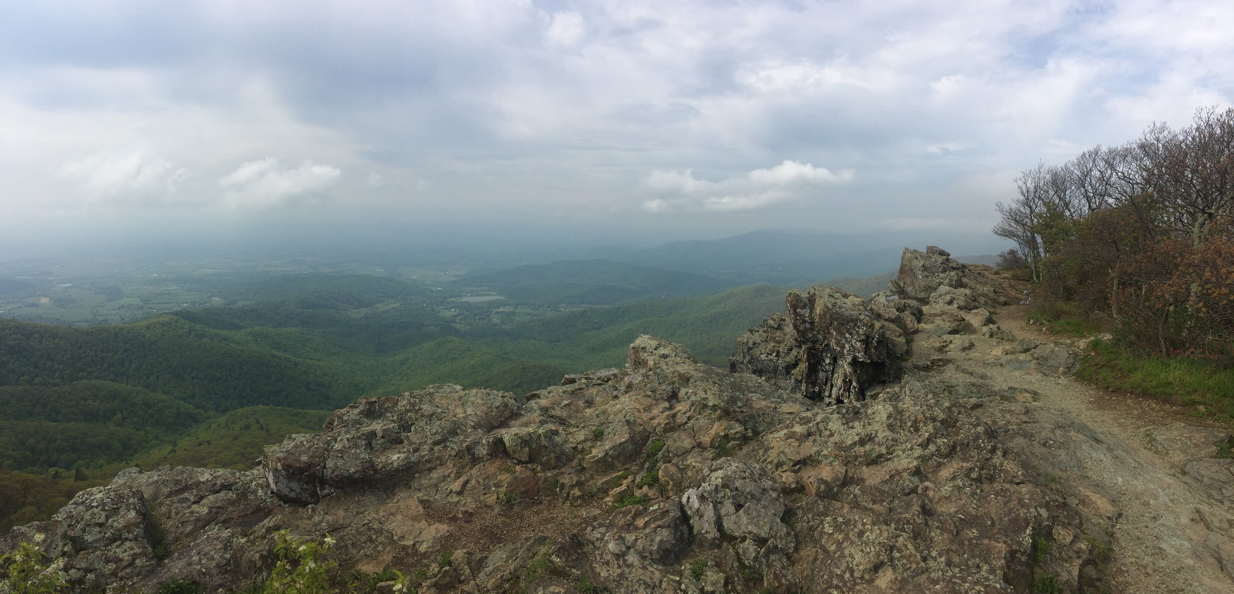 IMG_1825.jpeg
