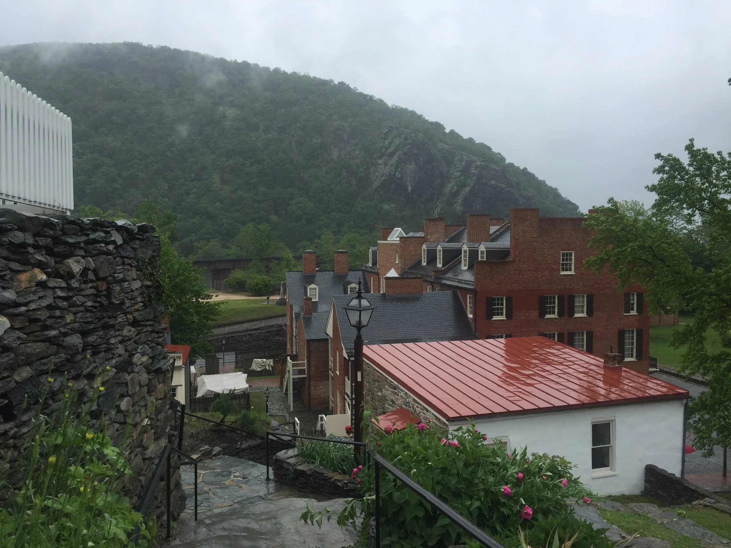 IMG_2098.jpeg