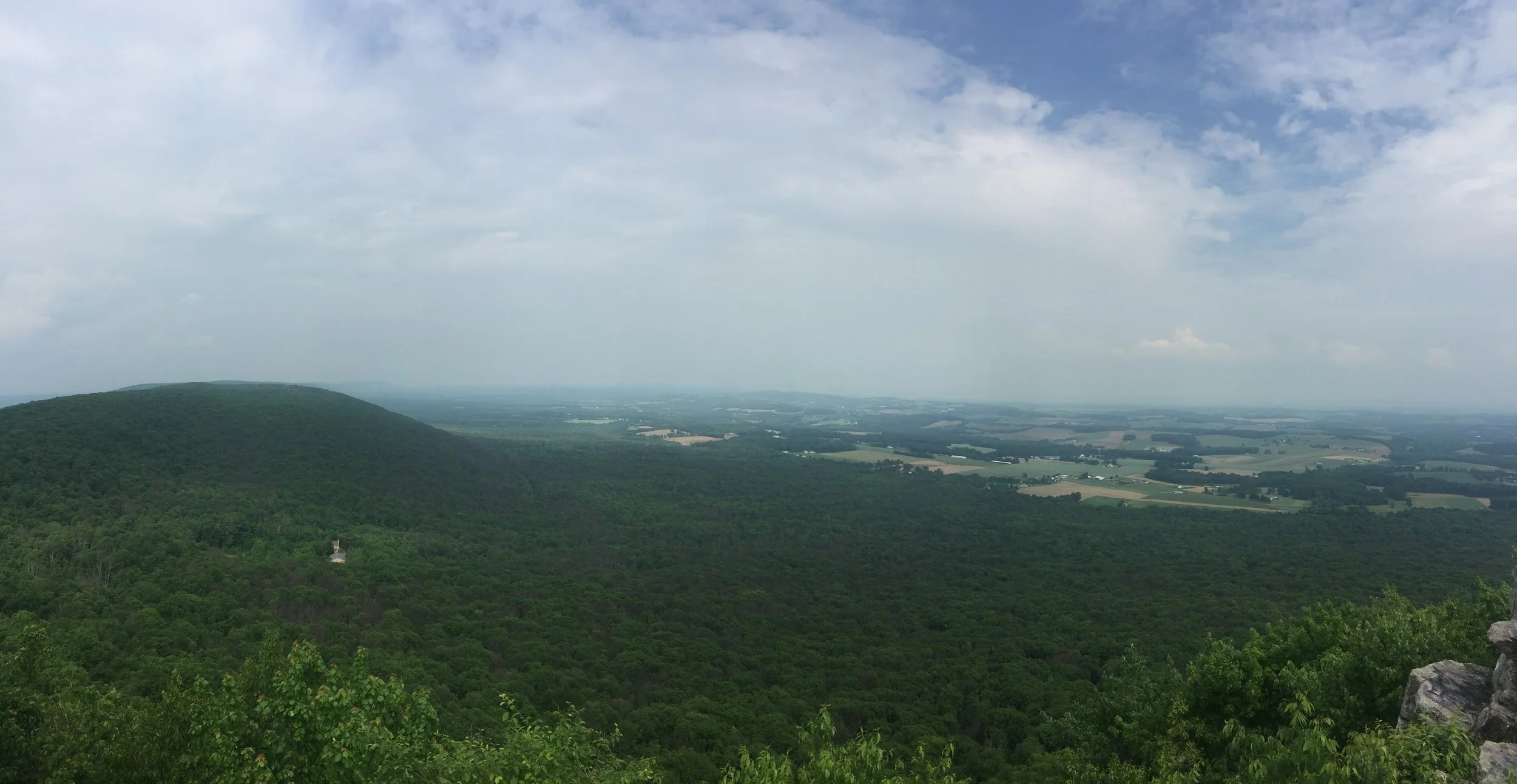 IMG_2291.jpeg