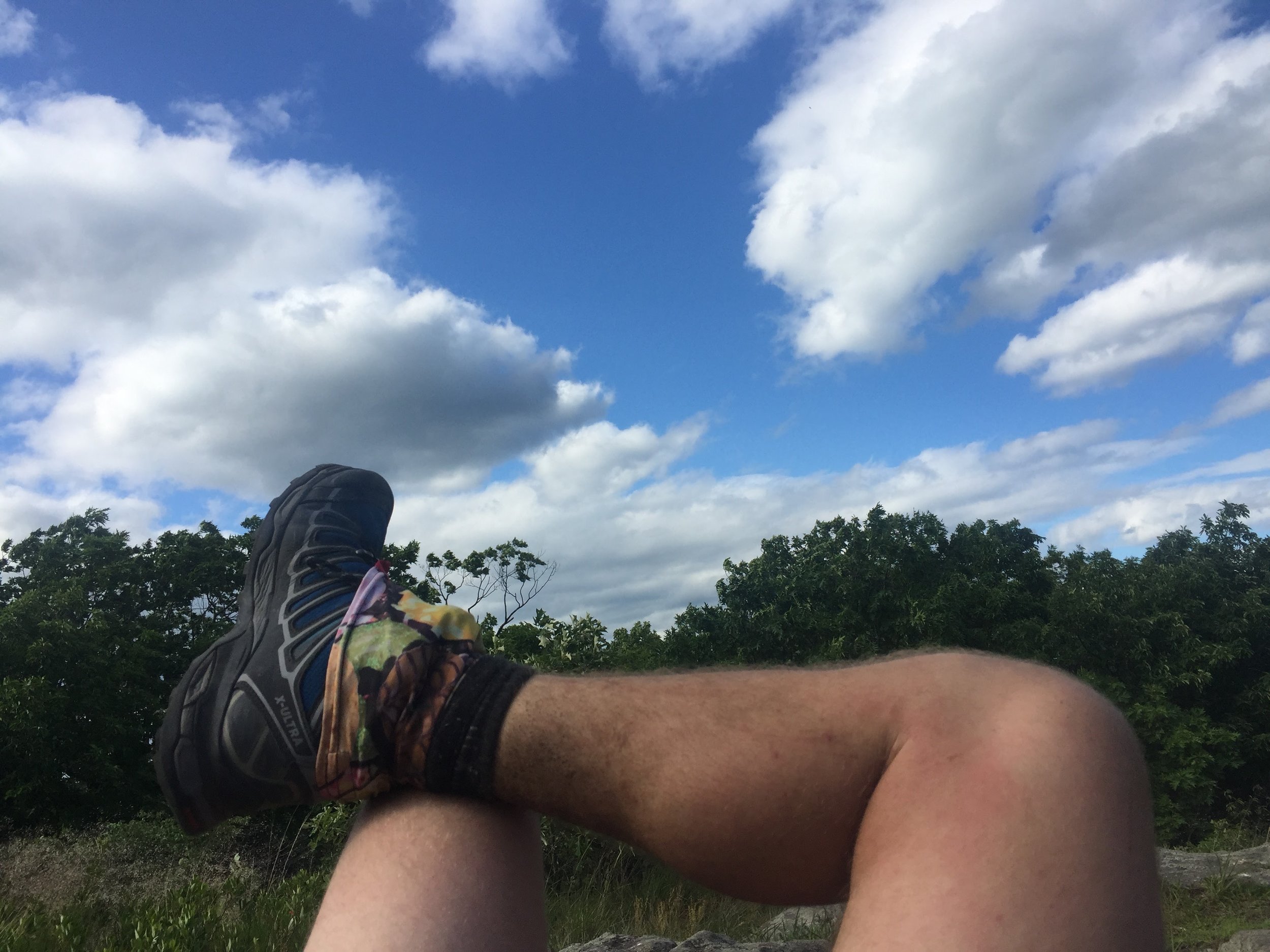 IMG_2398.jpeg