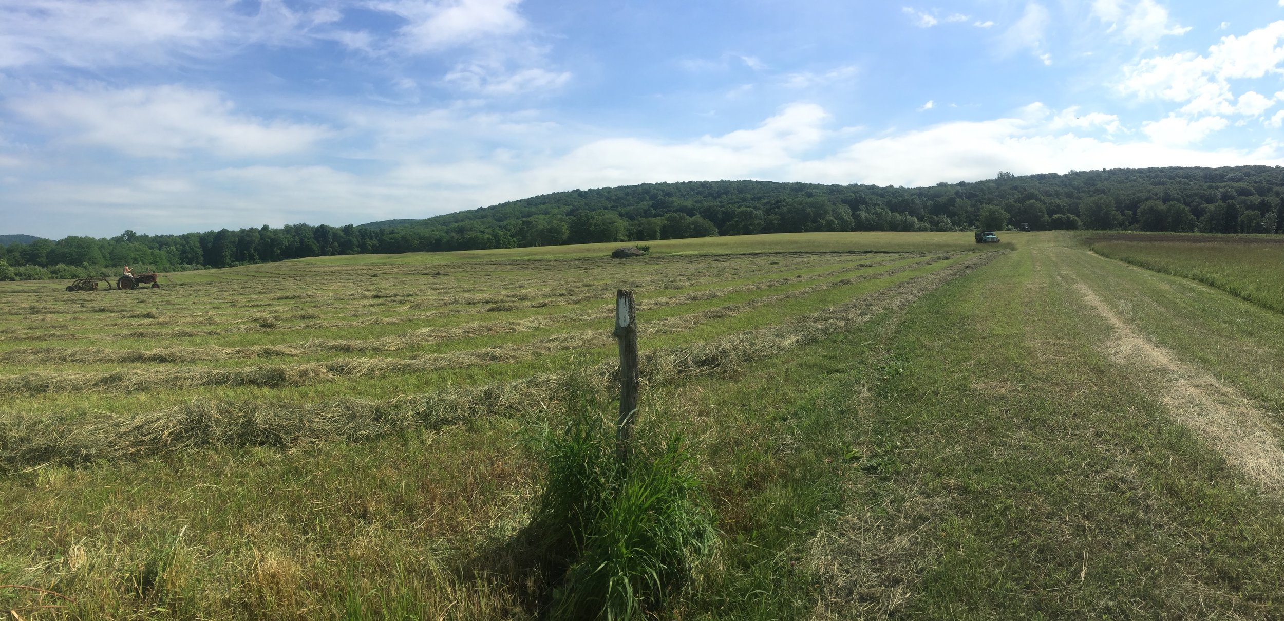 IMG_2486.jpeg