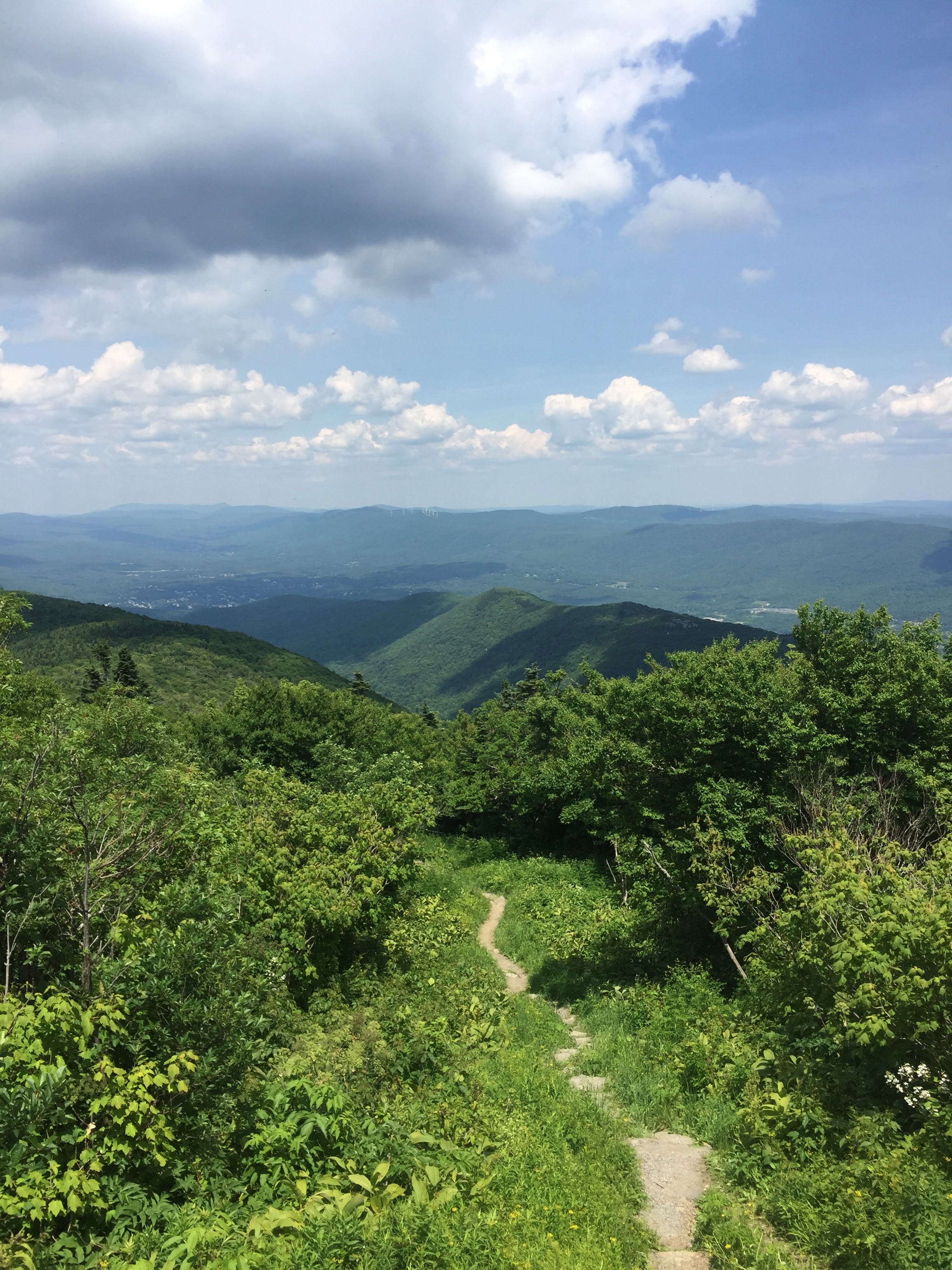 IMG_2657.jpeg