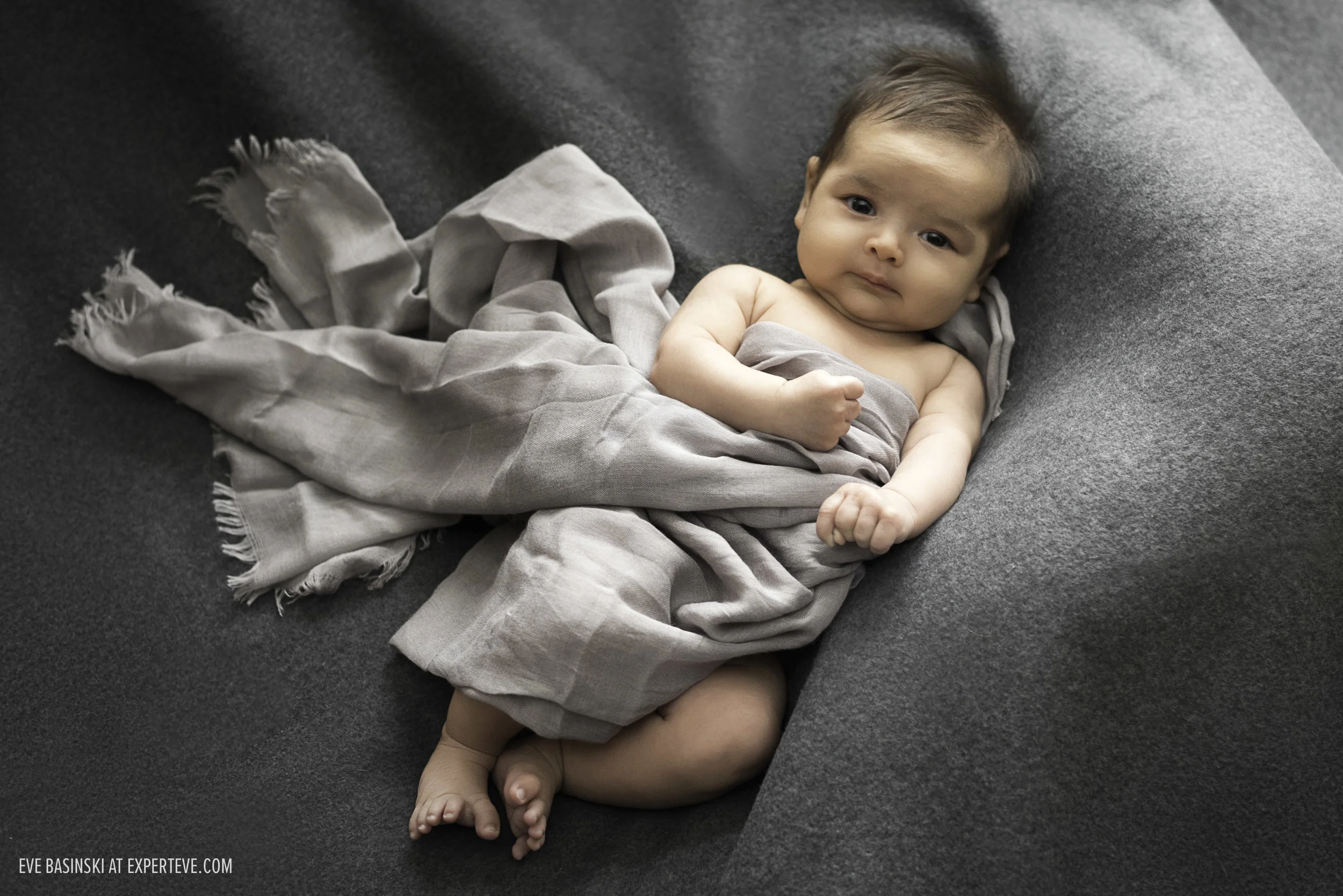 FamilyPhotosession2017-20.jpg