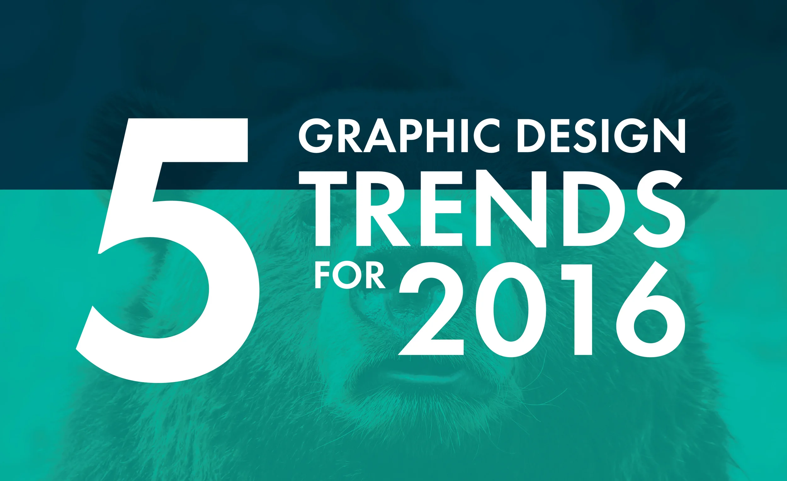 5 Design Trends You'll Need in 2016