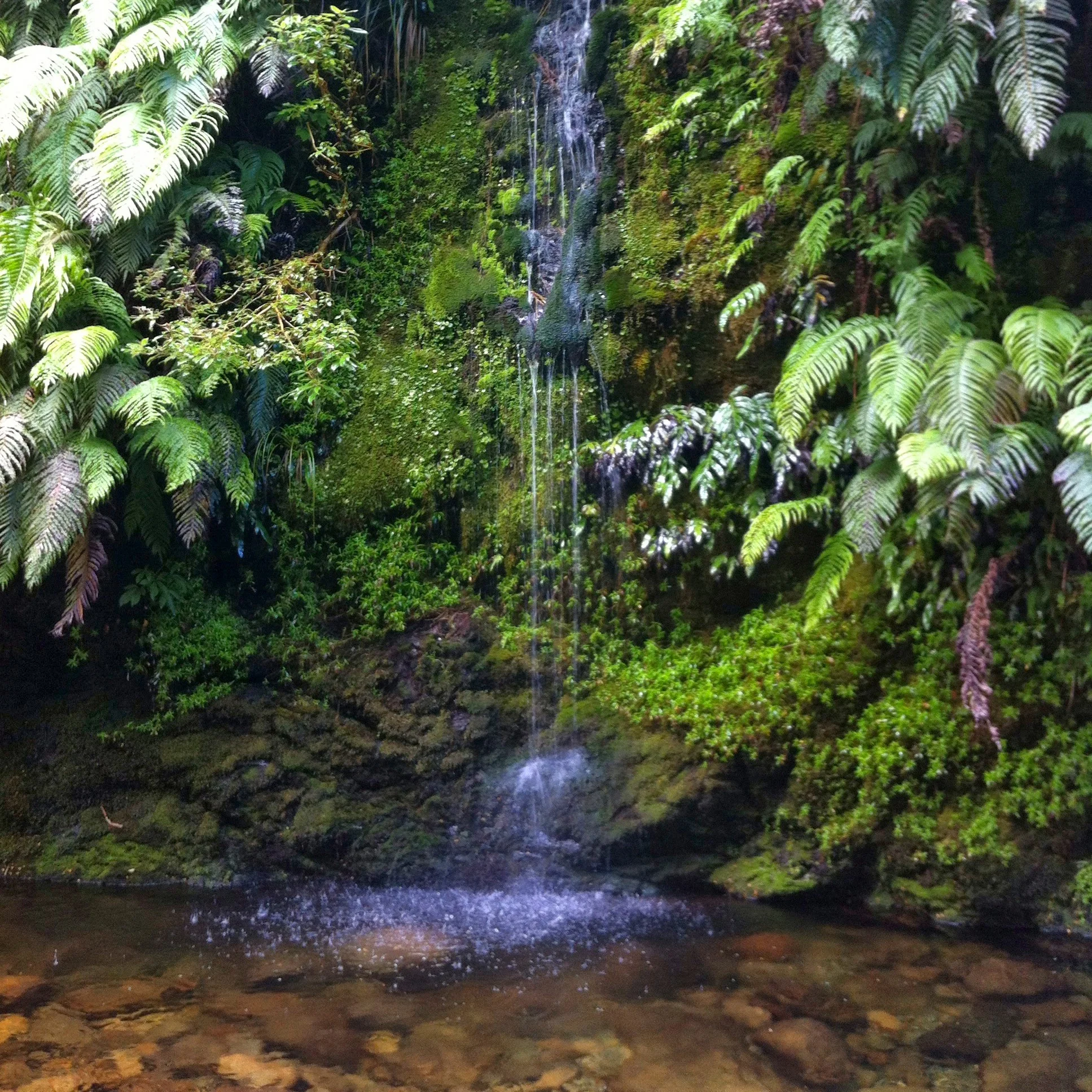 Tararua Ranges Waterfall