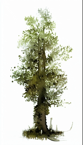 PlantCycle2_Color1.gif