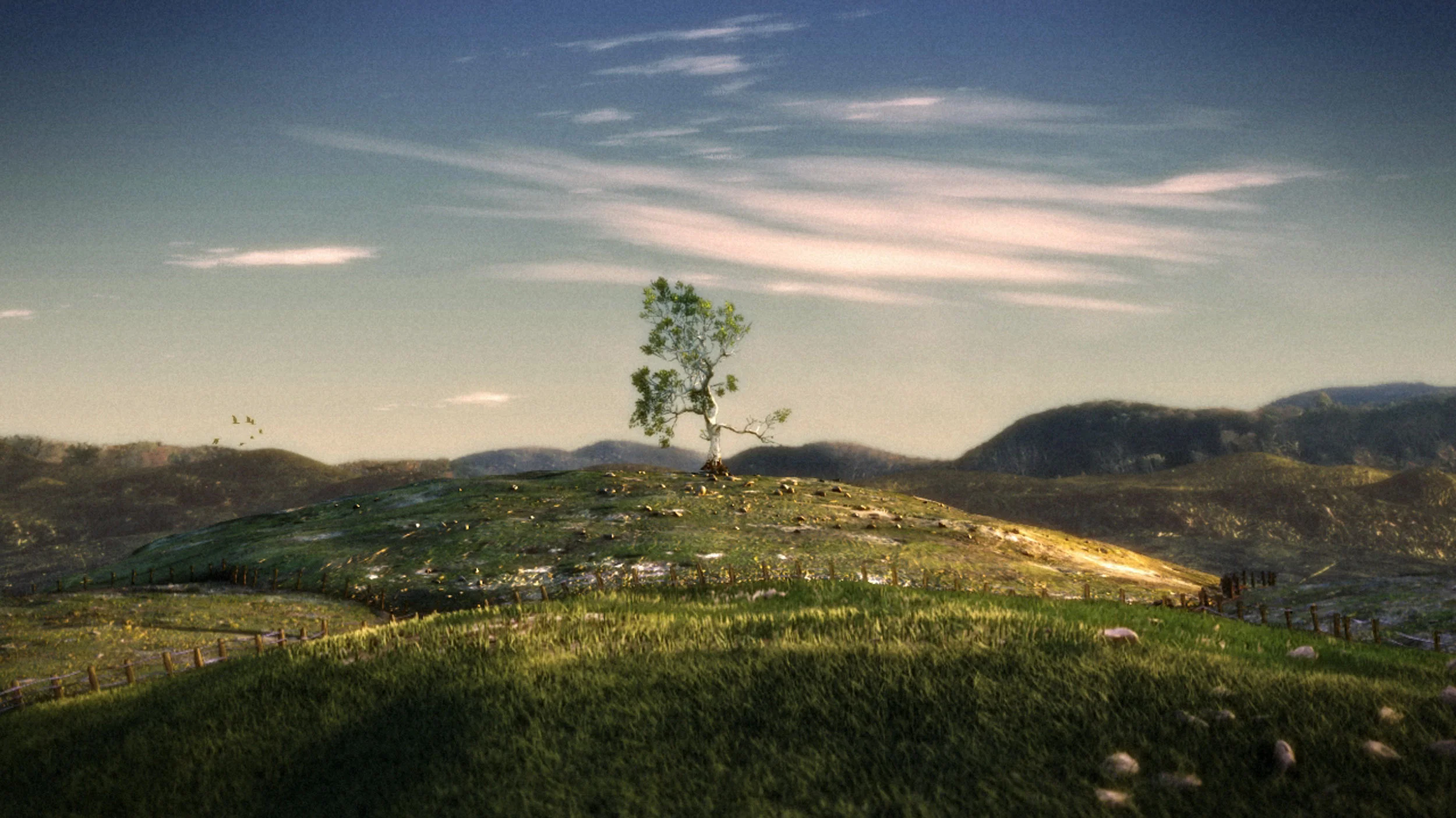 stump_tree 10.jpg