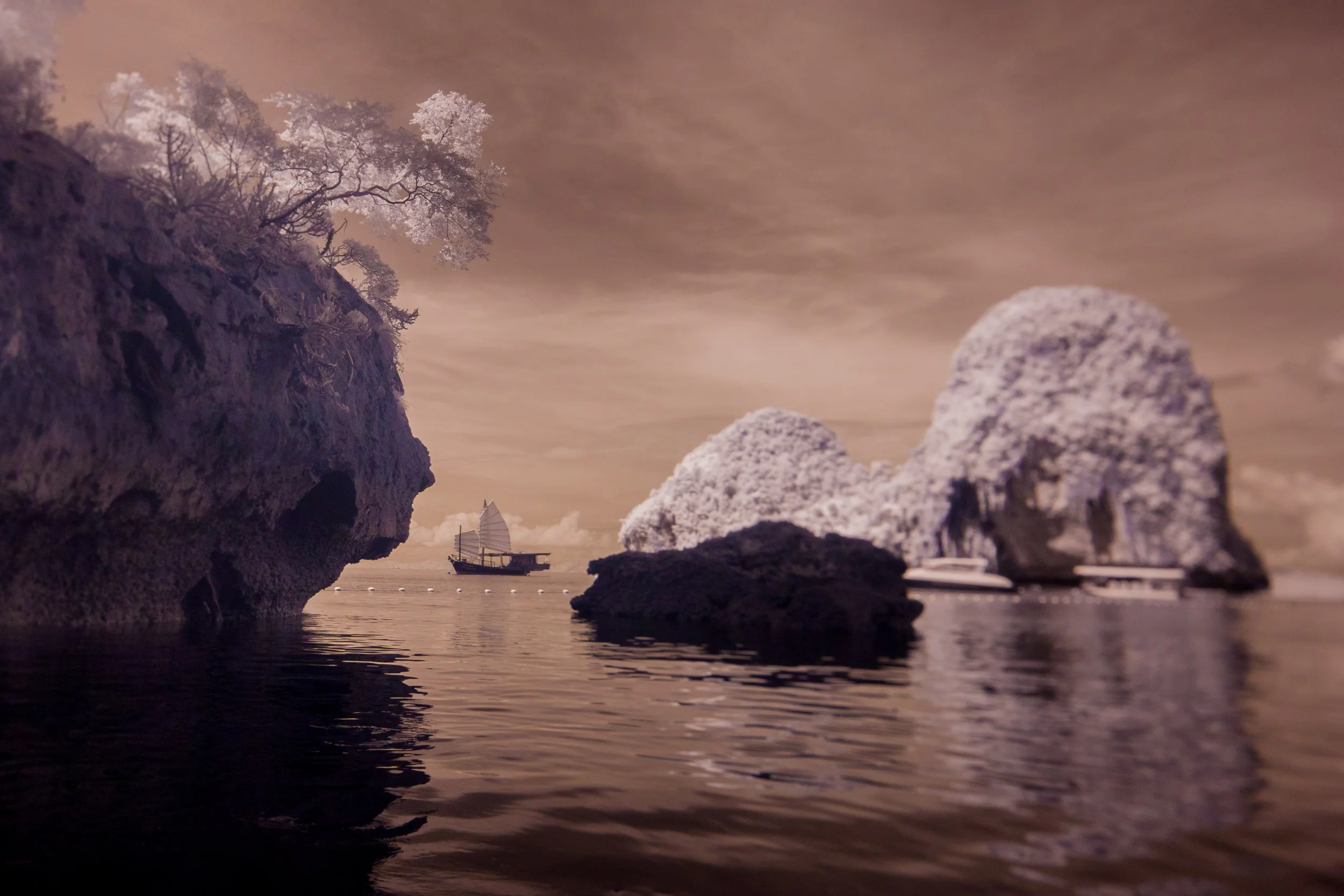 IR_Thailand_more-166.jpg