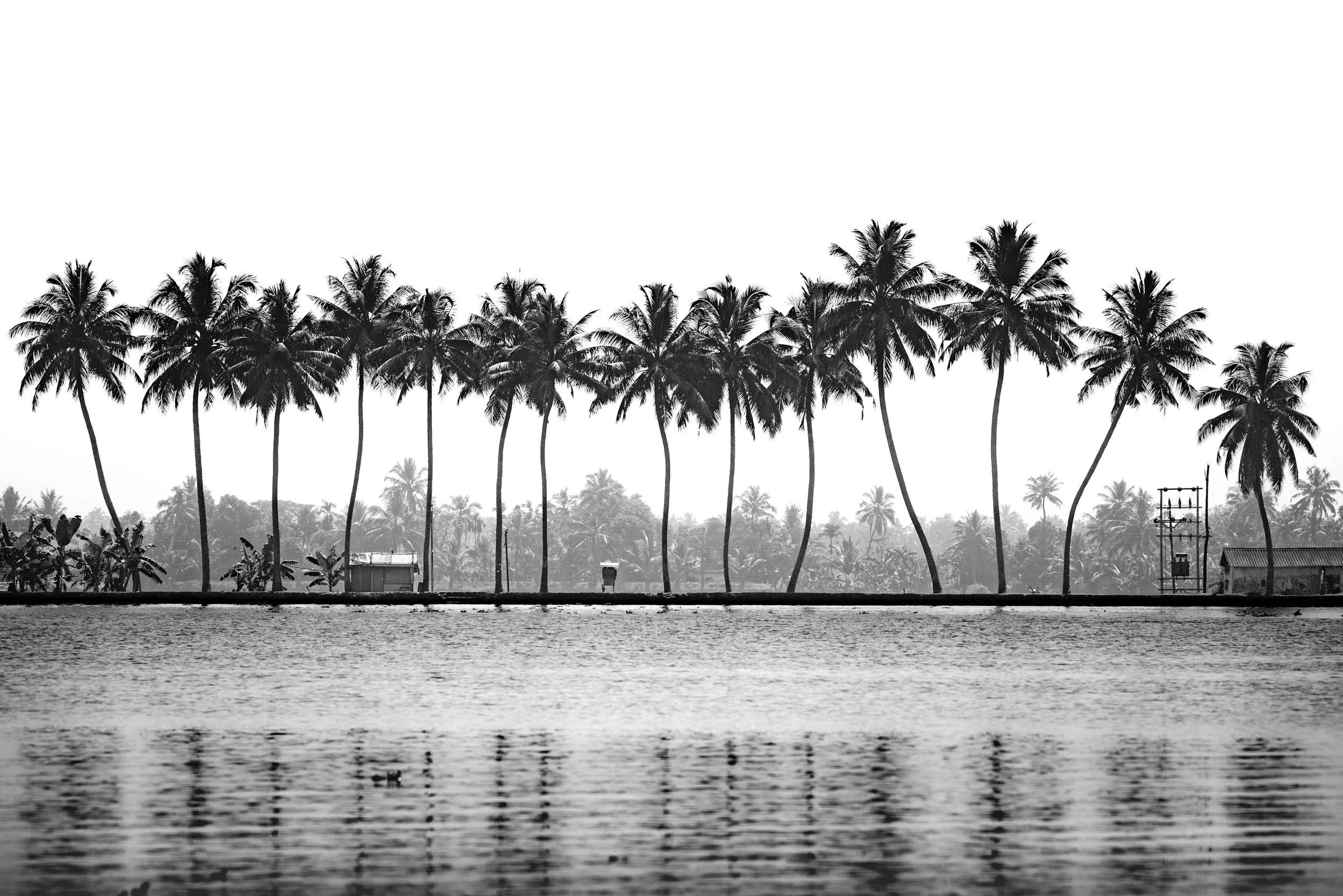 Kerala-9774.jpg