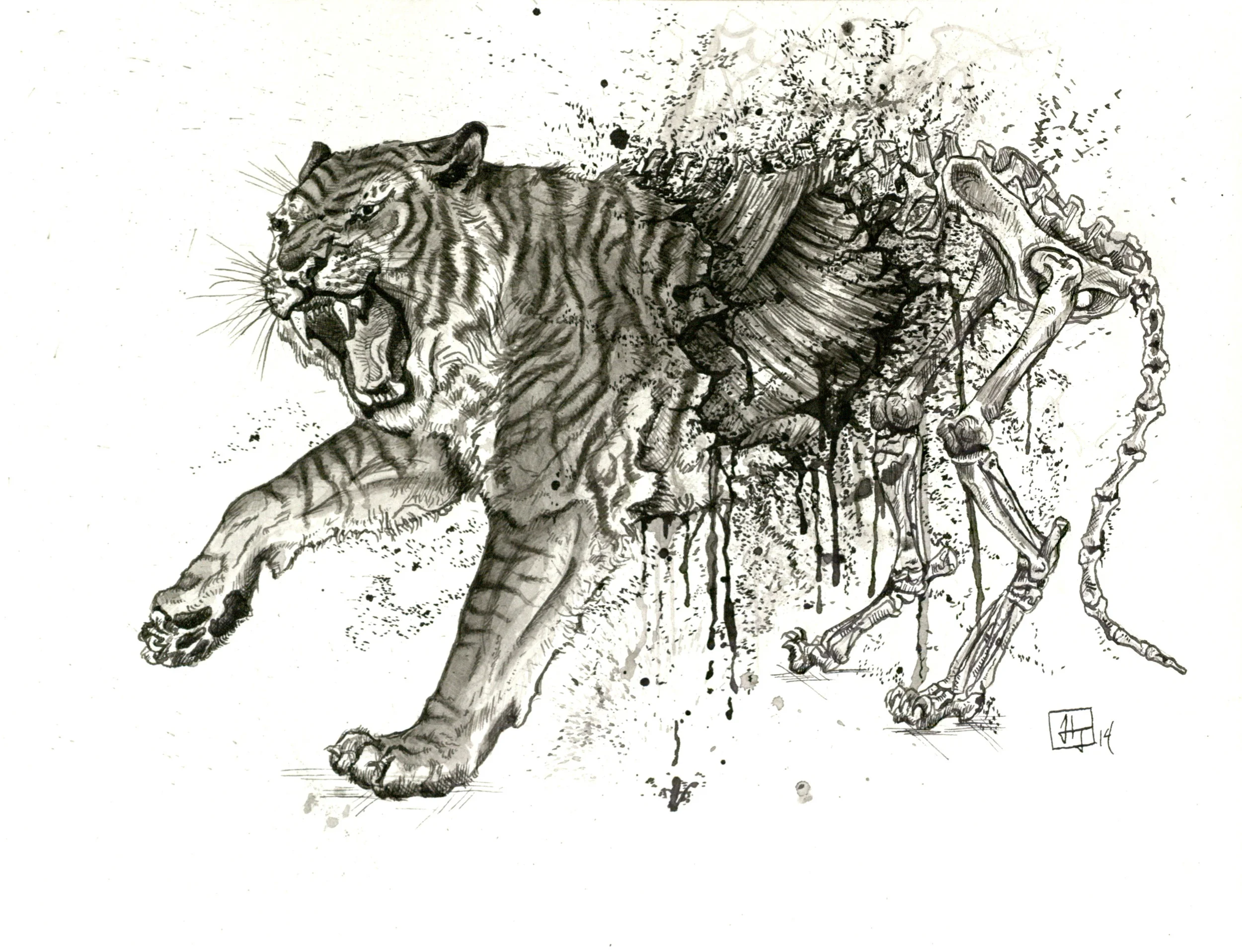 Extinction of the Caspian Tiger