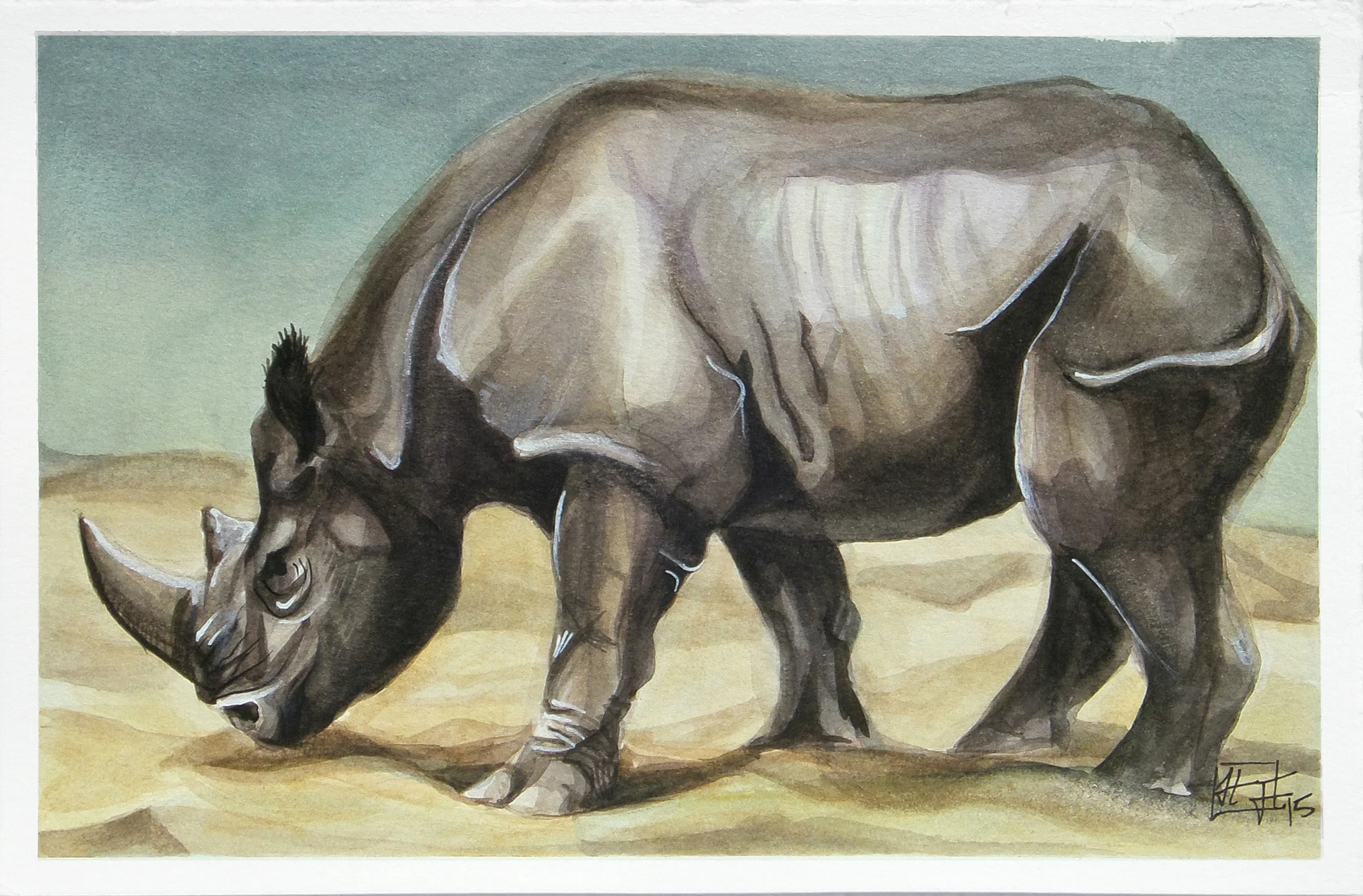 Black Rhino 3