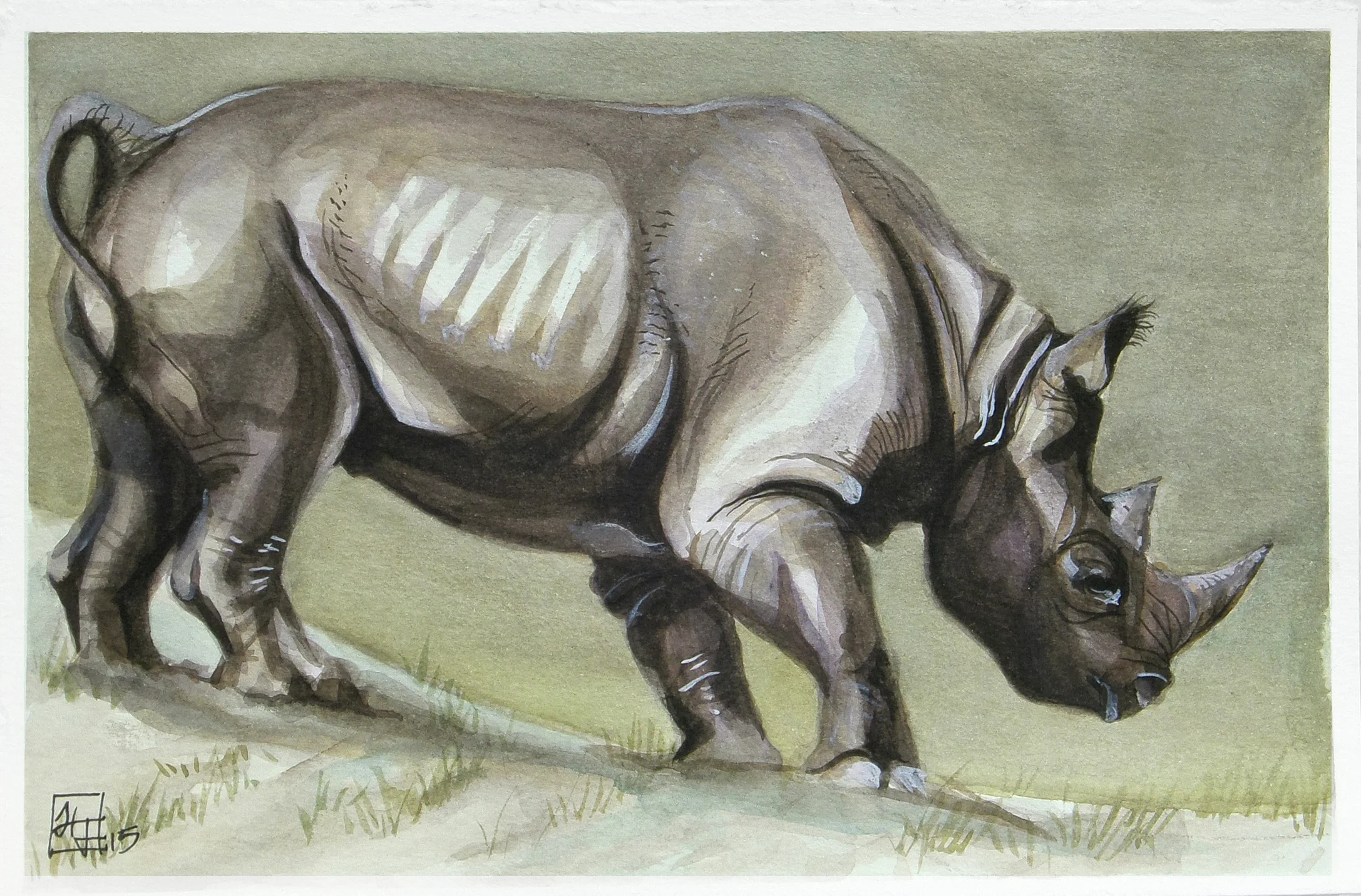 Black Rhino 4