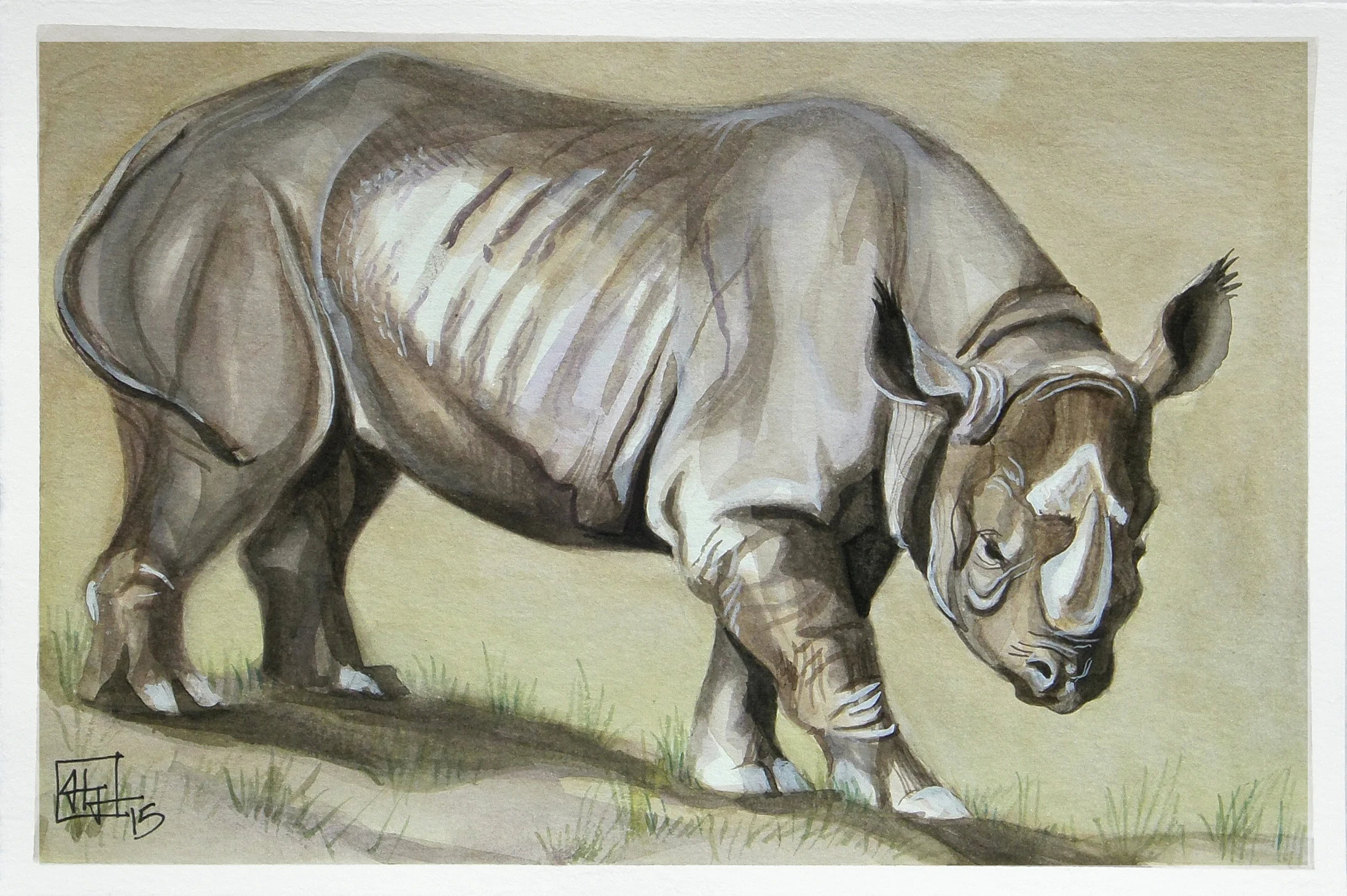 Black Rhino 6