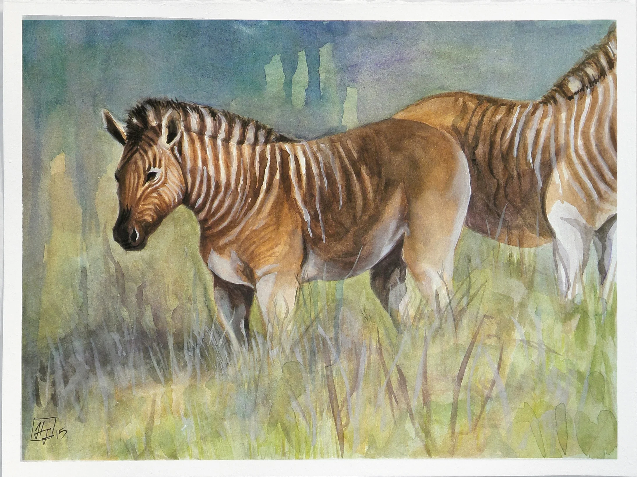 Quagga